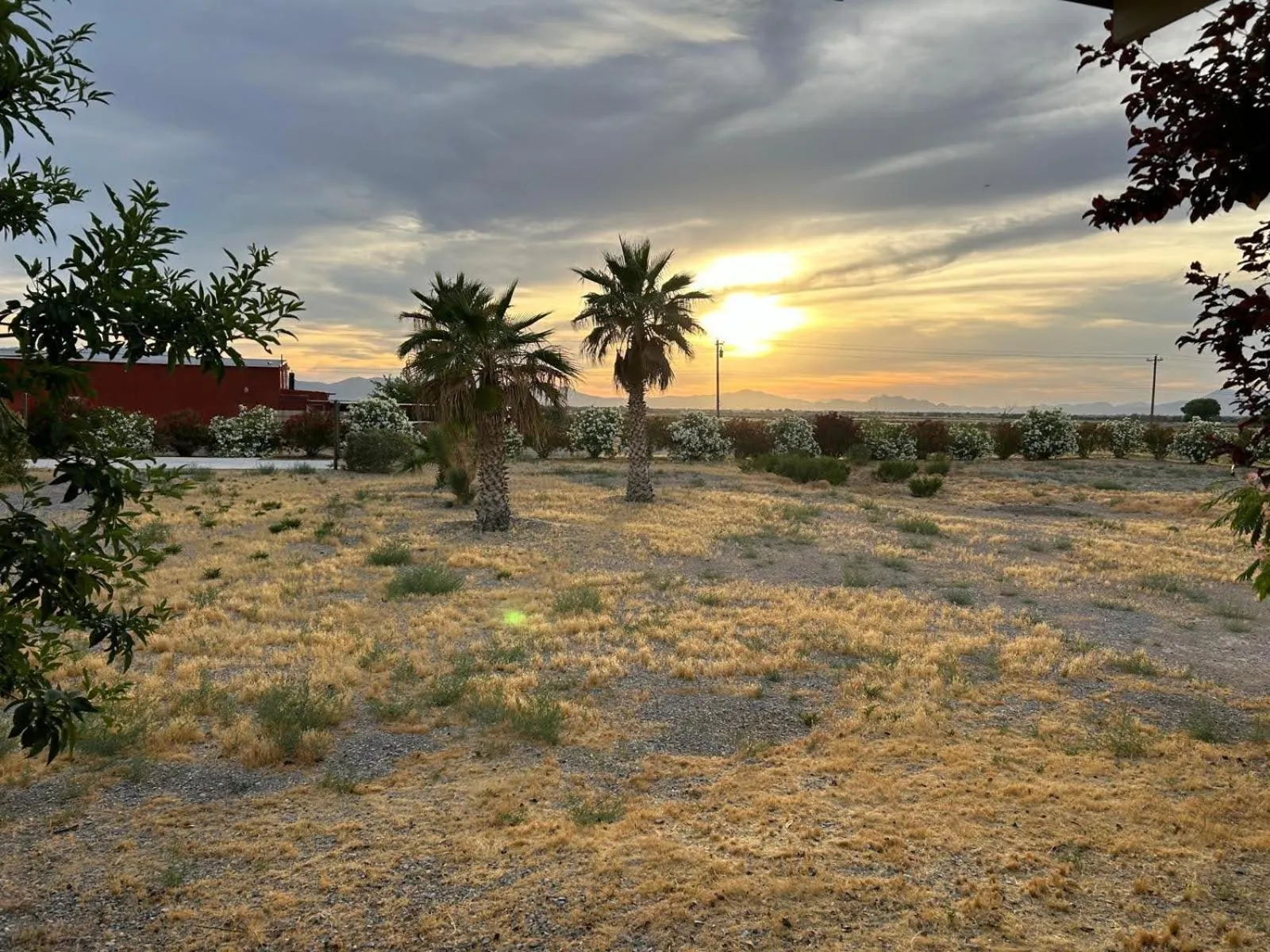 Garden in K7 Bed and Breakfast