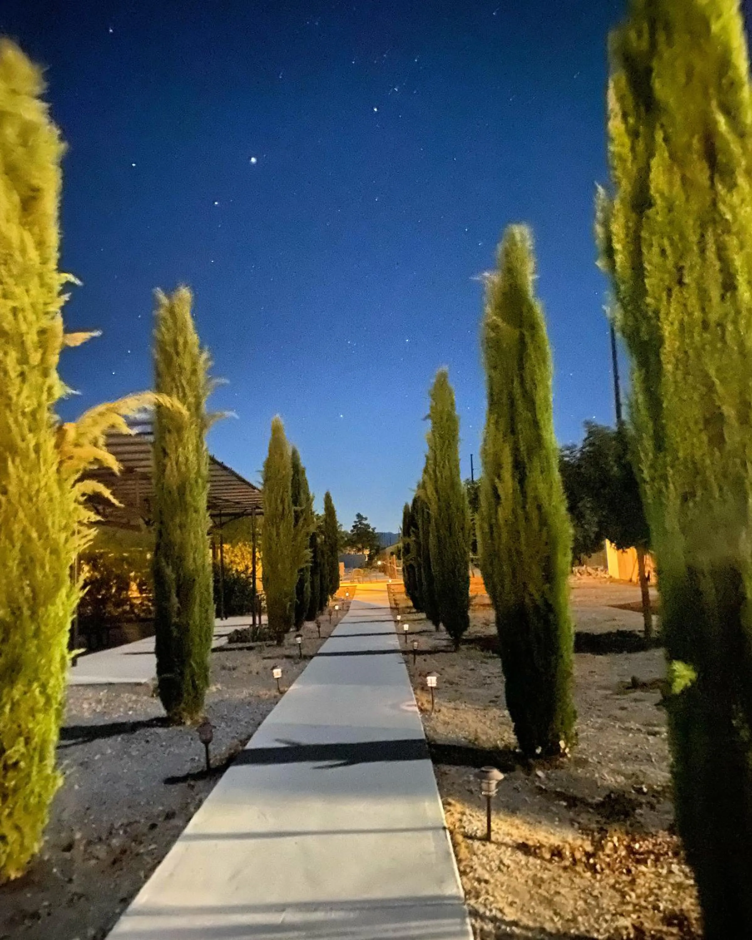 Garden in K7 Bed and Breakfast