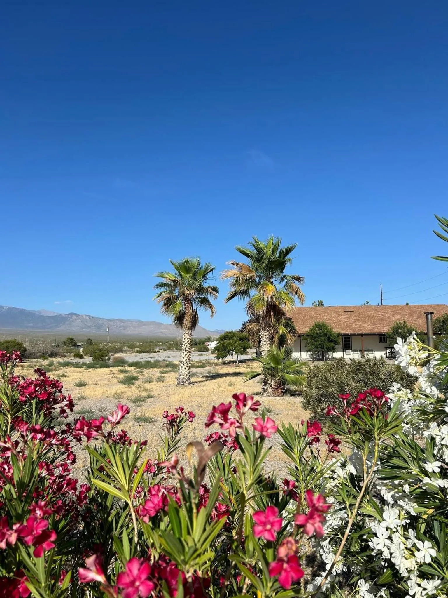 Property building in K7 Bed and Breakfast