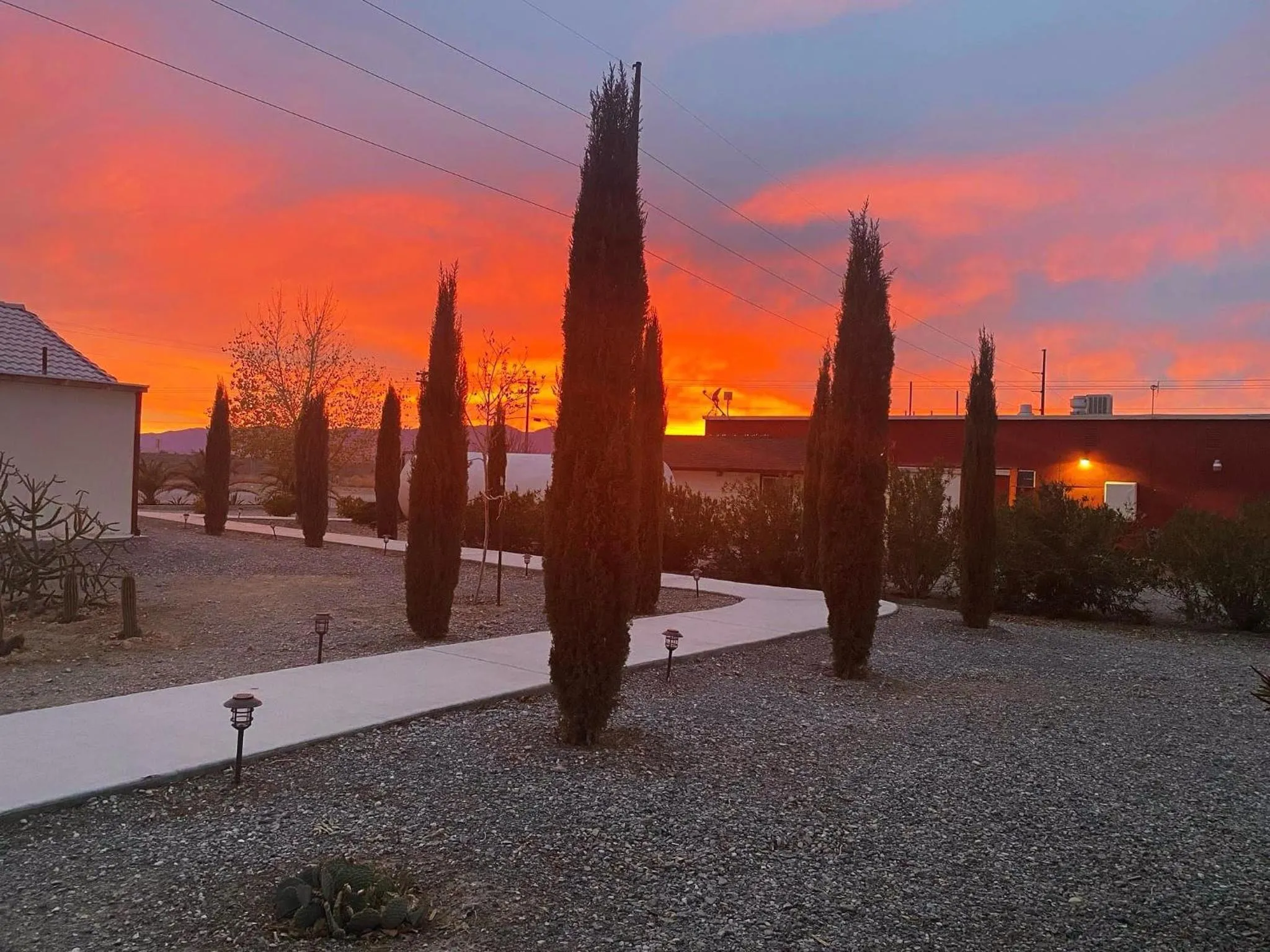 Garden in K7 Bed and Breakfast