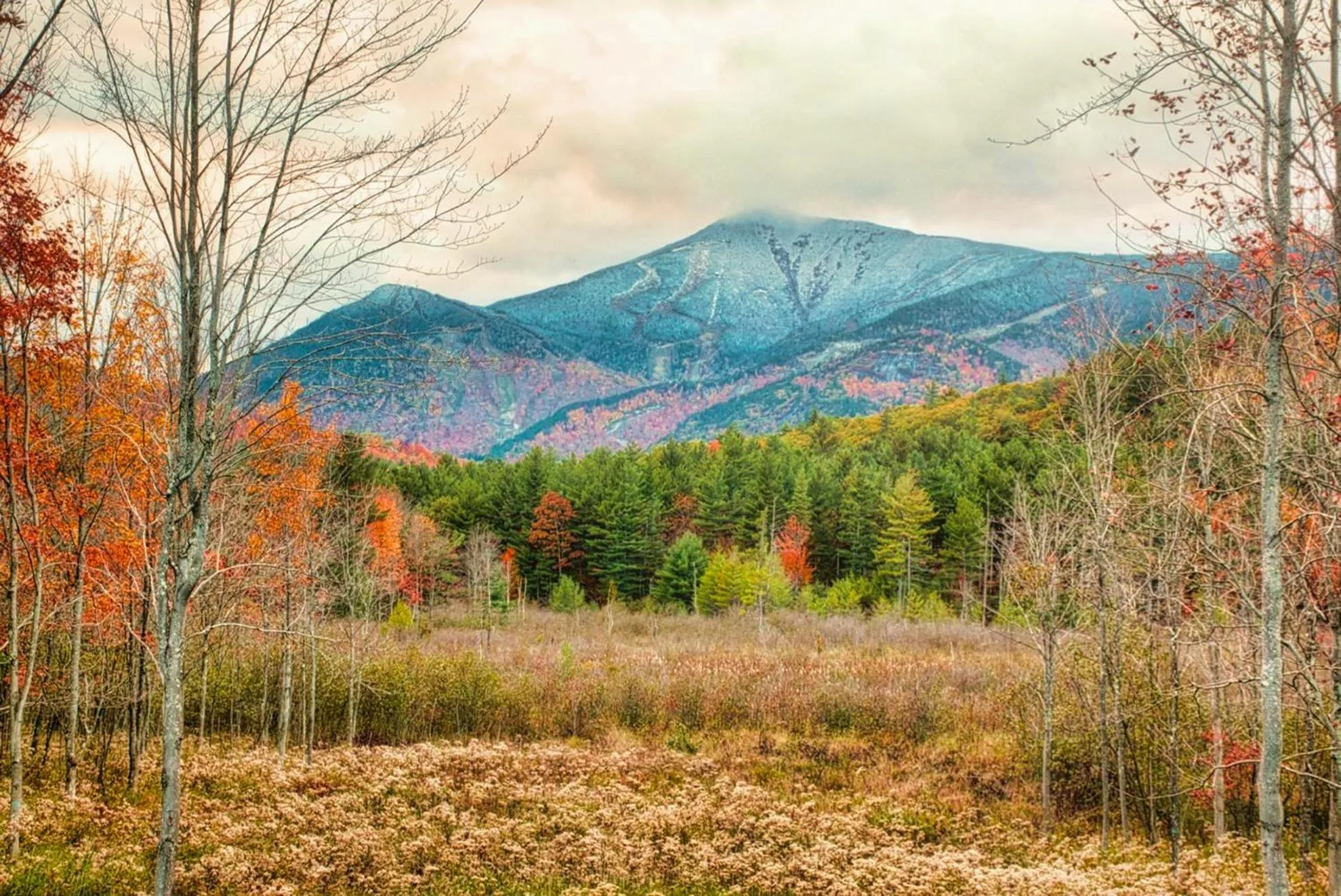Autumn in High Peaks Chalet