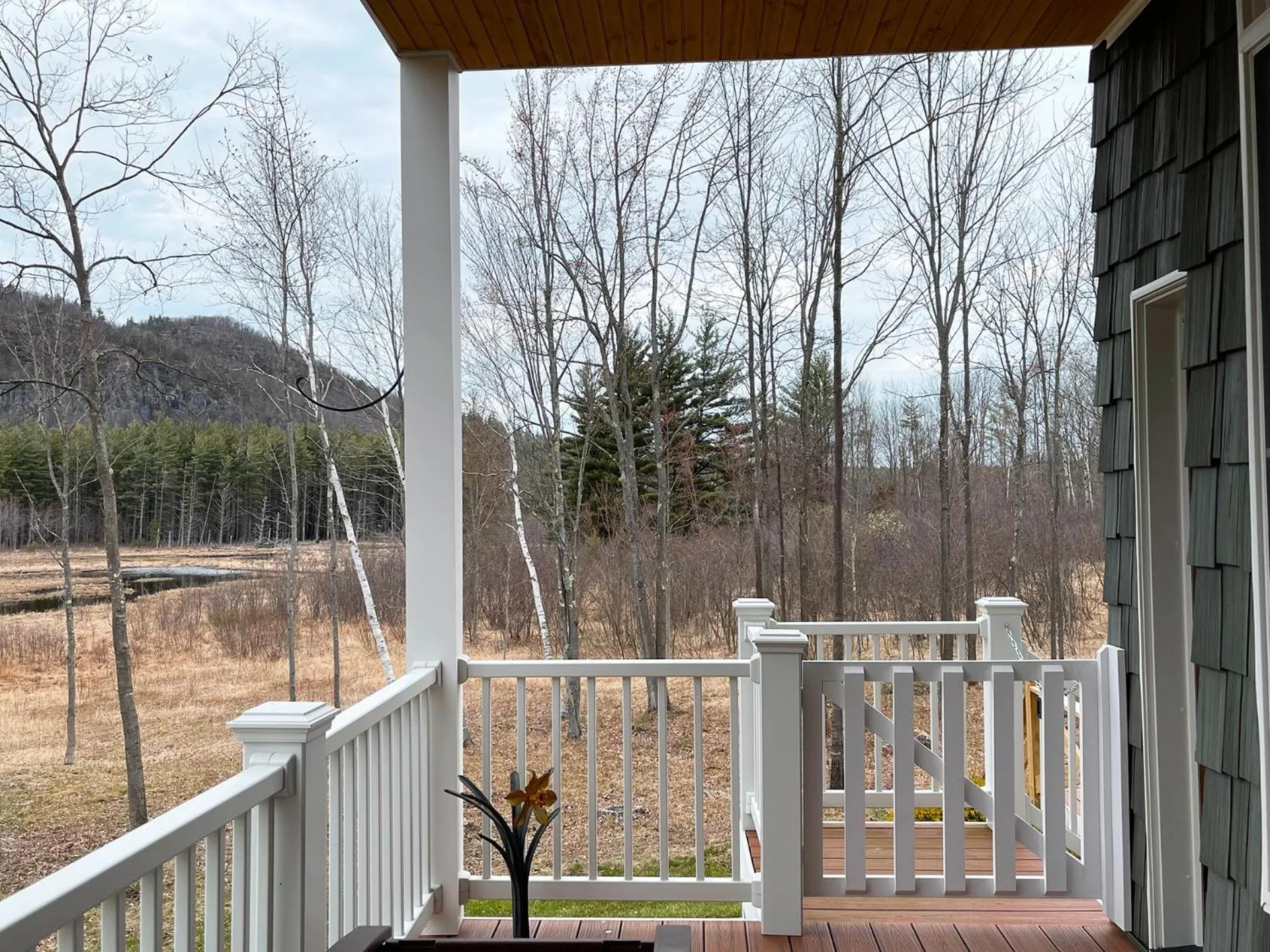 View (from property/room) in High Peaks Chalet
