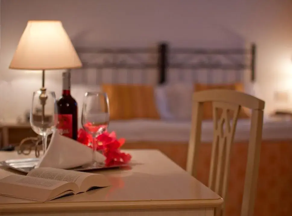 Standard Double Room in Hotel Sylesia Standard Double Room in Hotel Sylesia