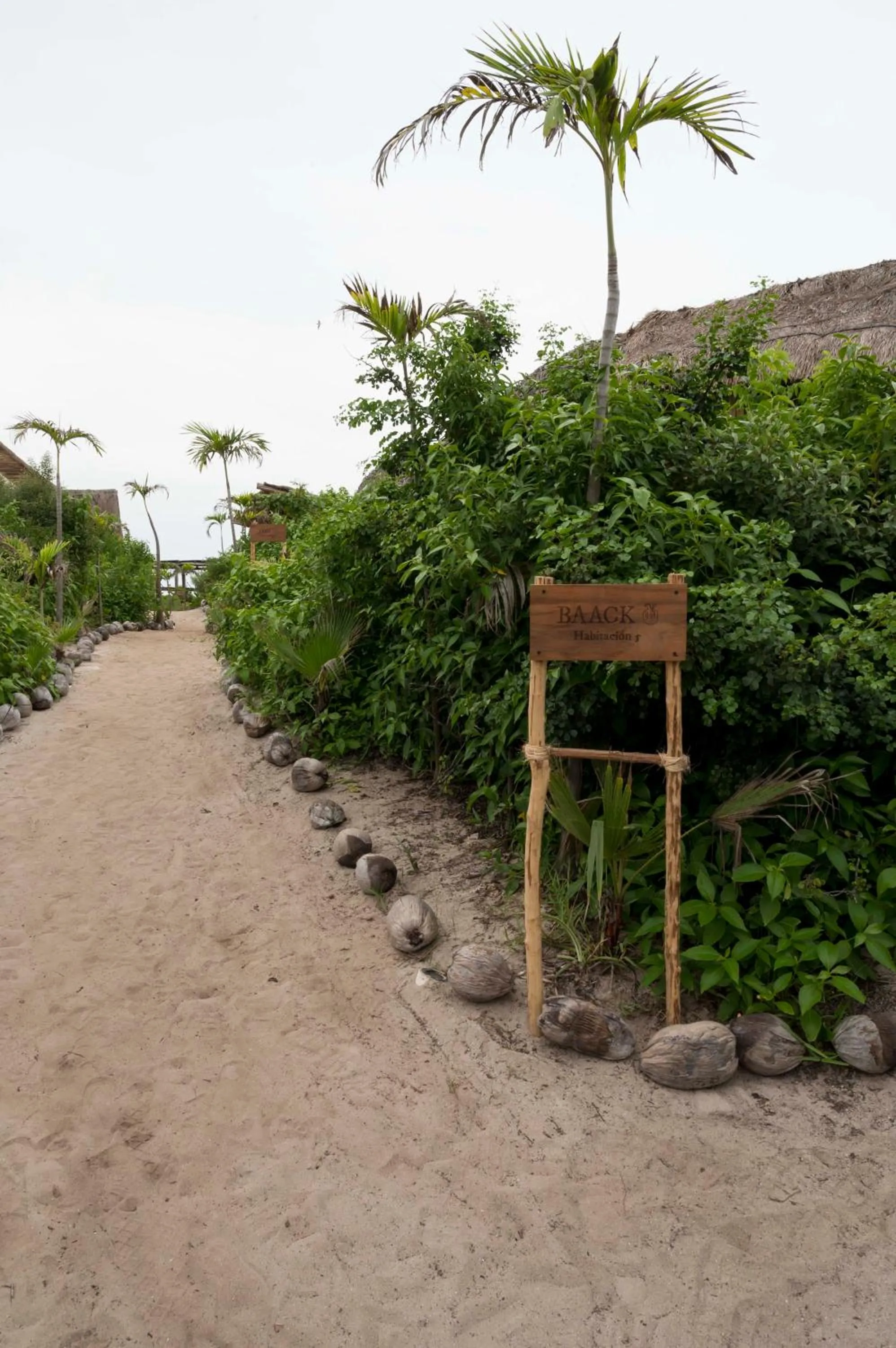 Garden in Casa Ku Hotel - Adults Only