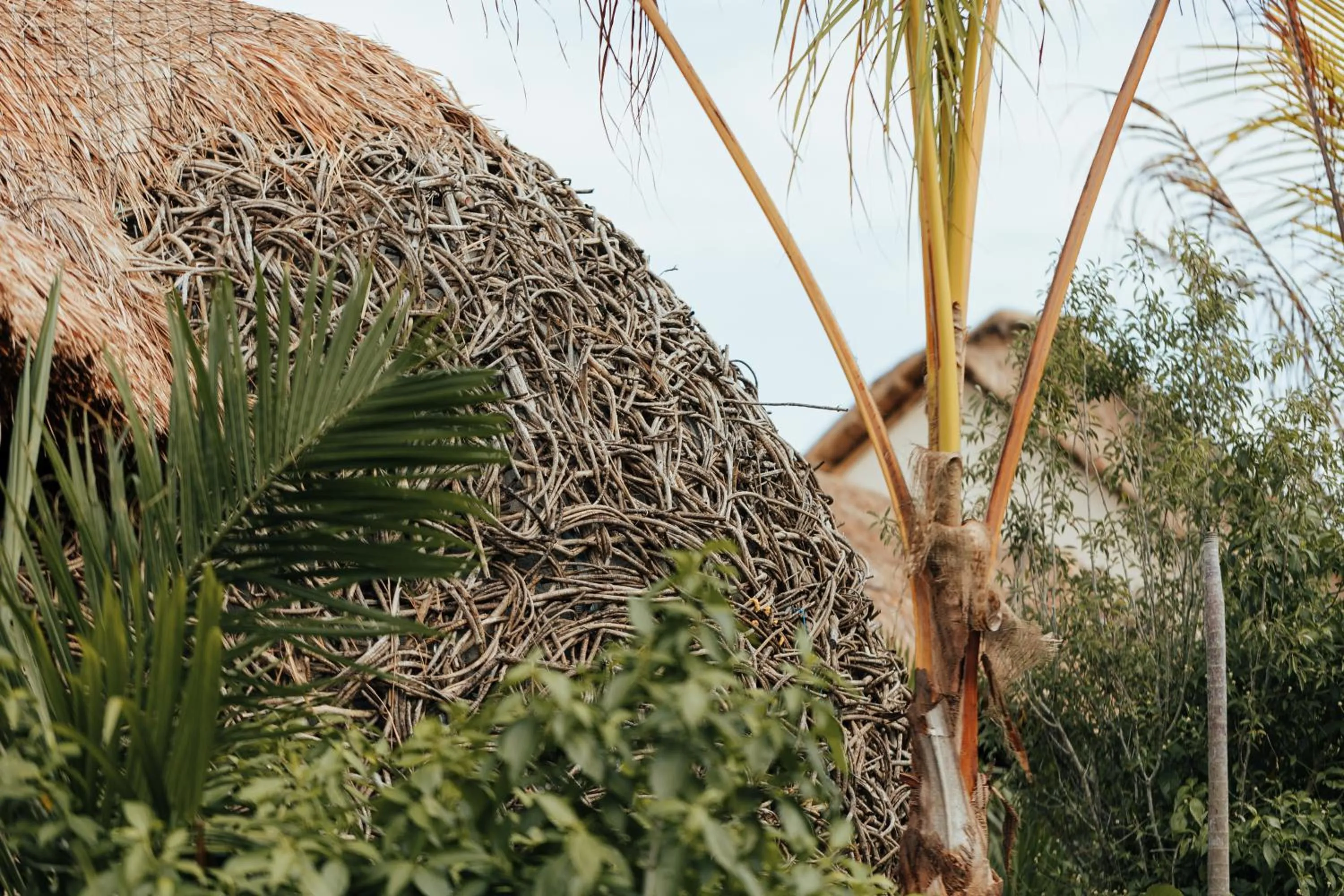 Casa Ku Hotel - Adults Only