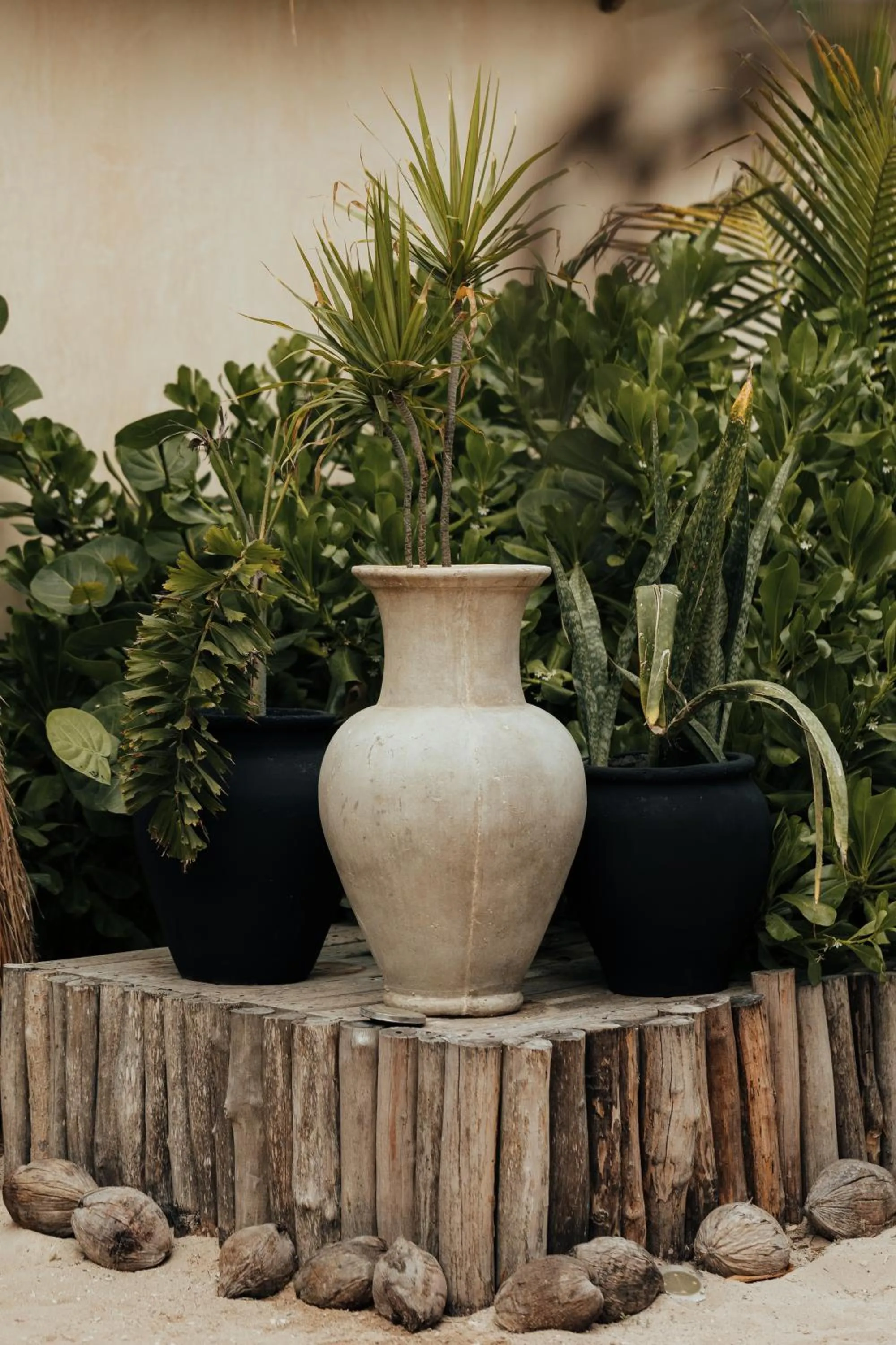 Casa Ku Hotel - Adults Only