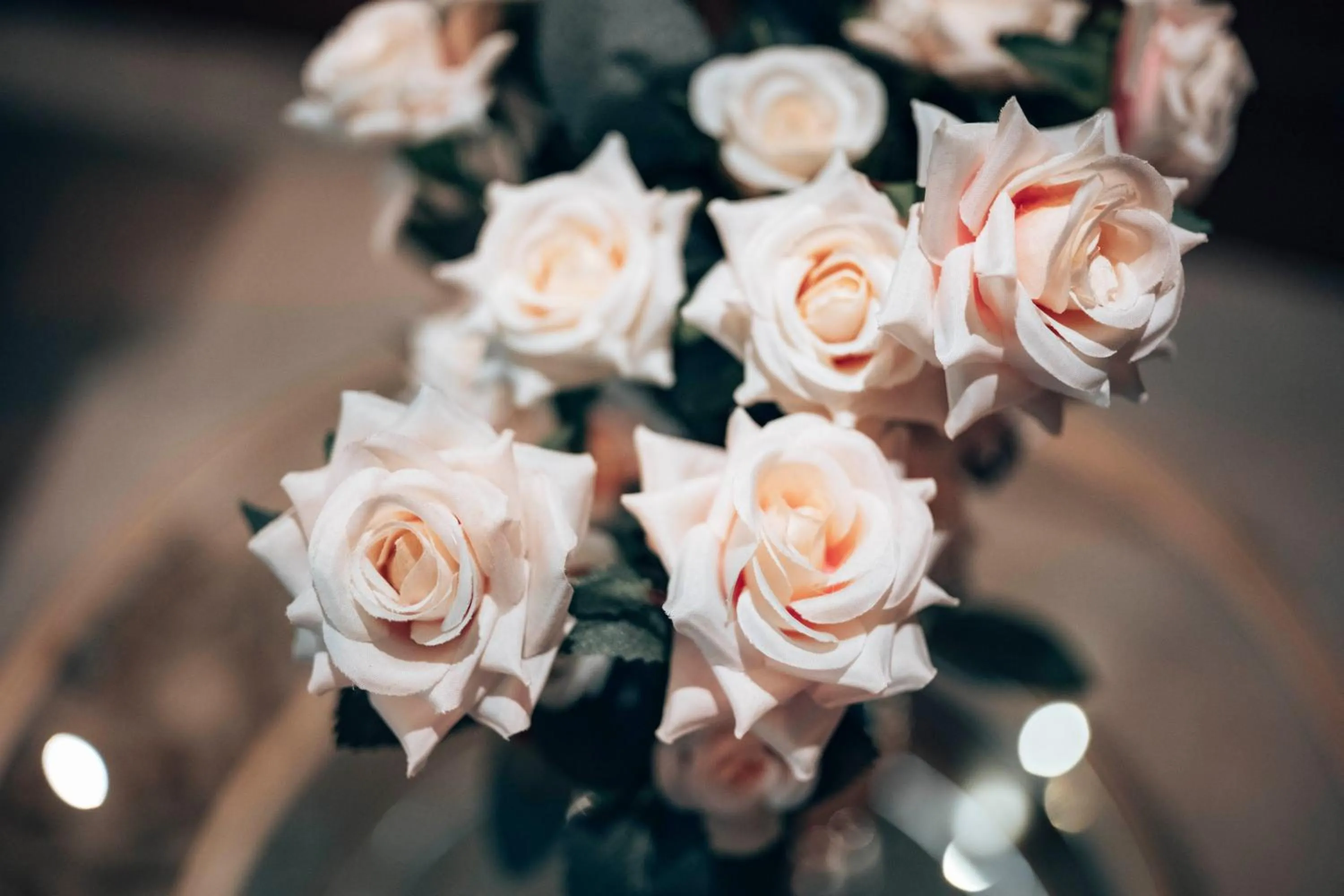 Decorative detail in Retrieve Health & Wellness