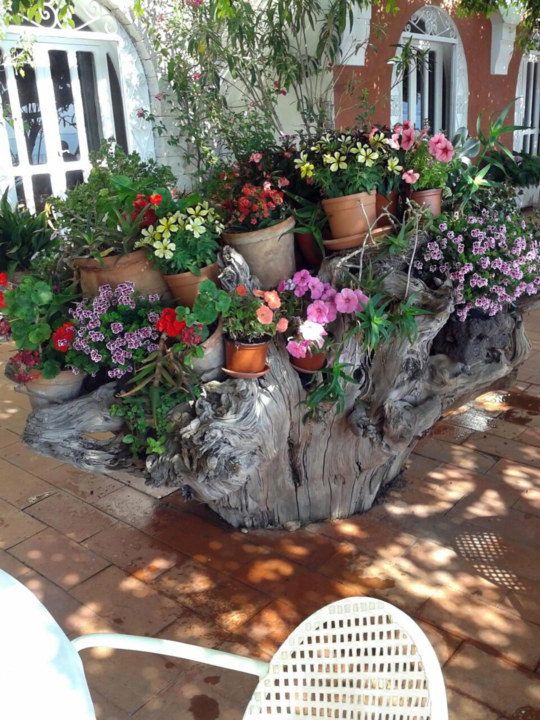 Restaurant/places to eat in Hotel Lido Mediterranee