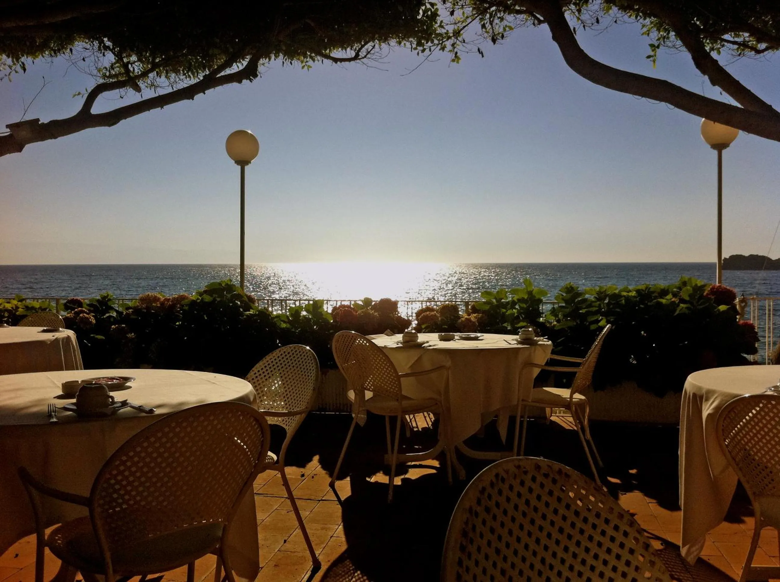 Restaurant/places to eat in Hotel Lido Mediterranee