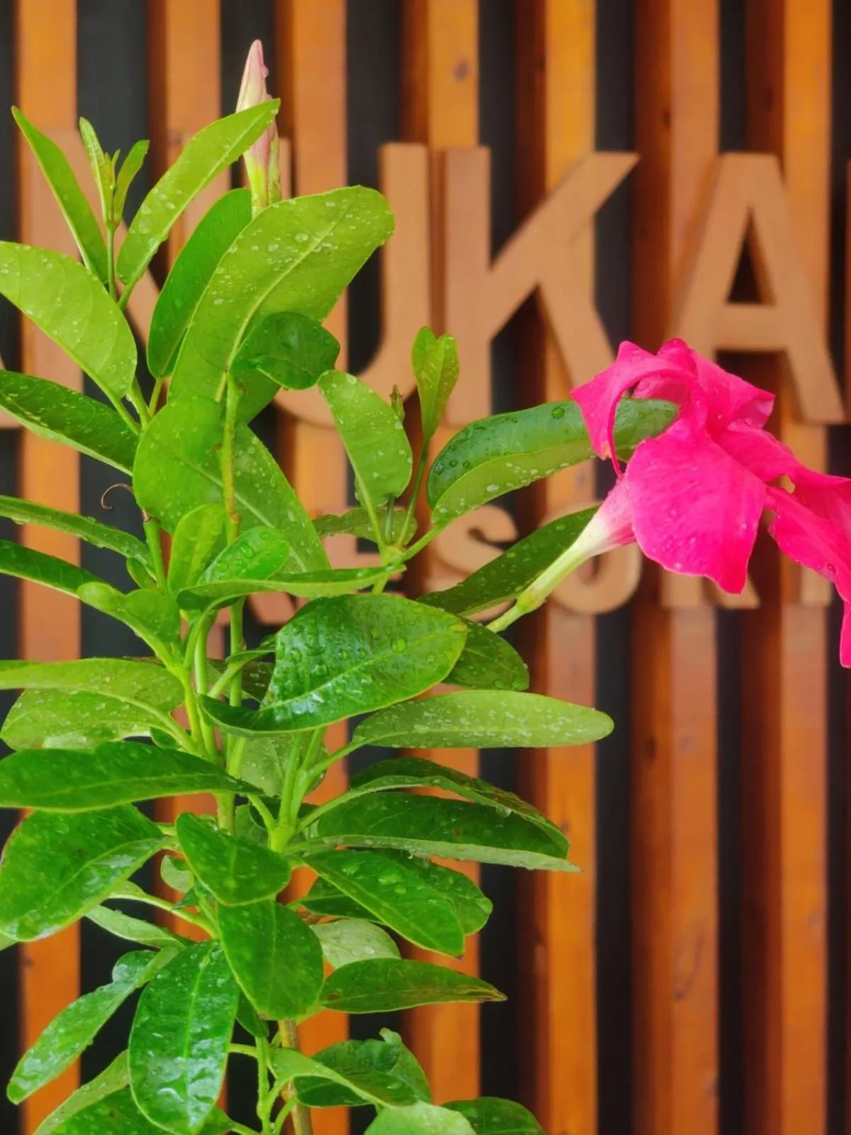 Day in Anukama Resort