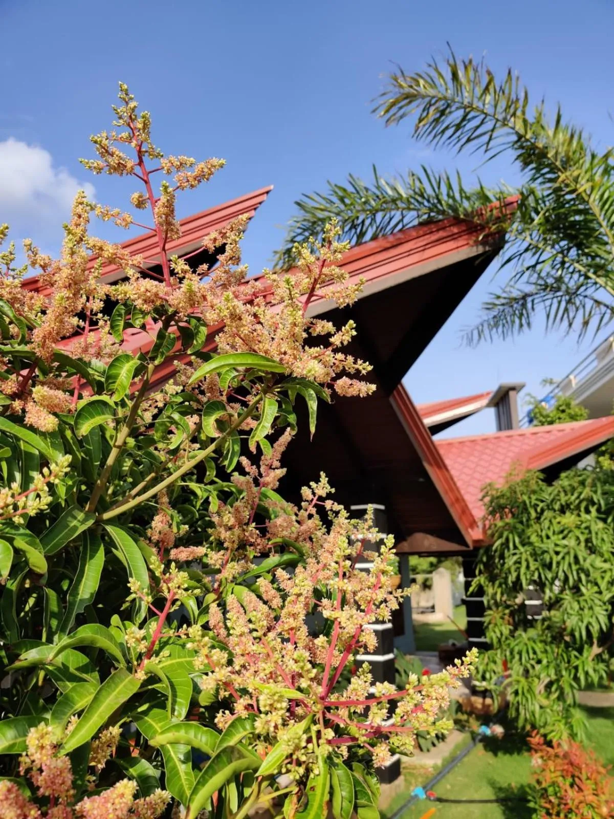 Spring in Anukama Resort