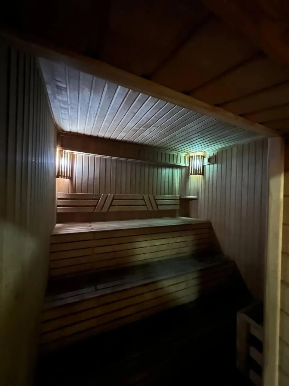Sauna in Grand Avenue Hotel