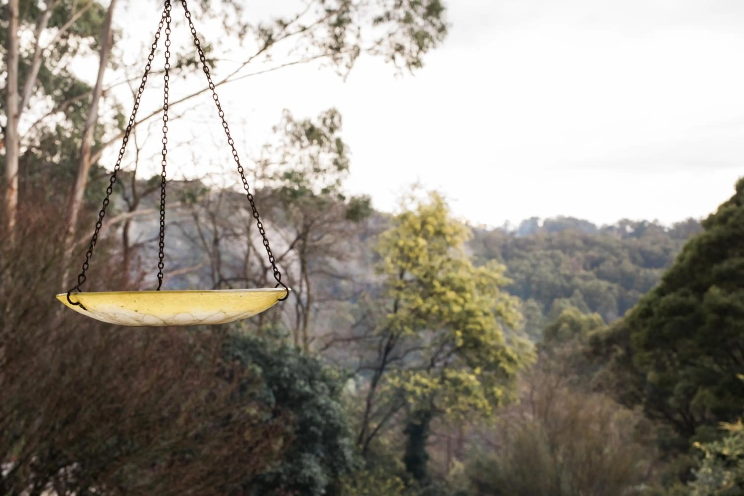 Rustic Refuge Guesthouse