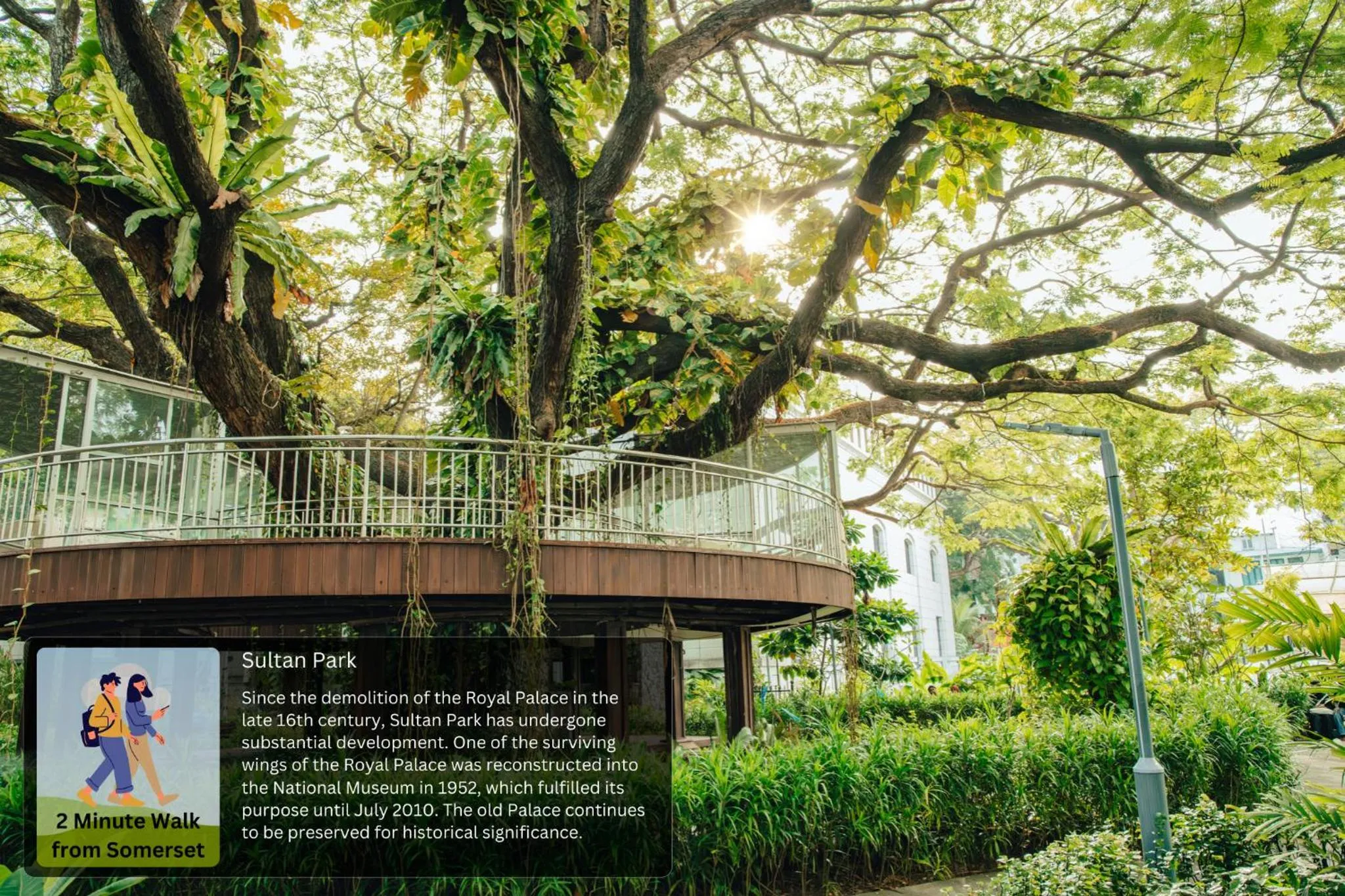 Activities in The Somerset Hotel