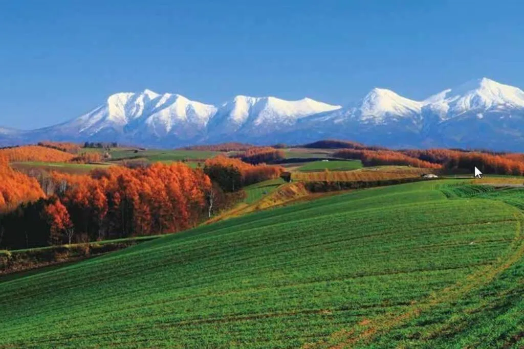 Nearby landmark in GUESTHOUSE CHIYOGAOKA