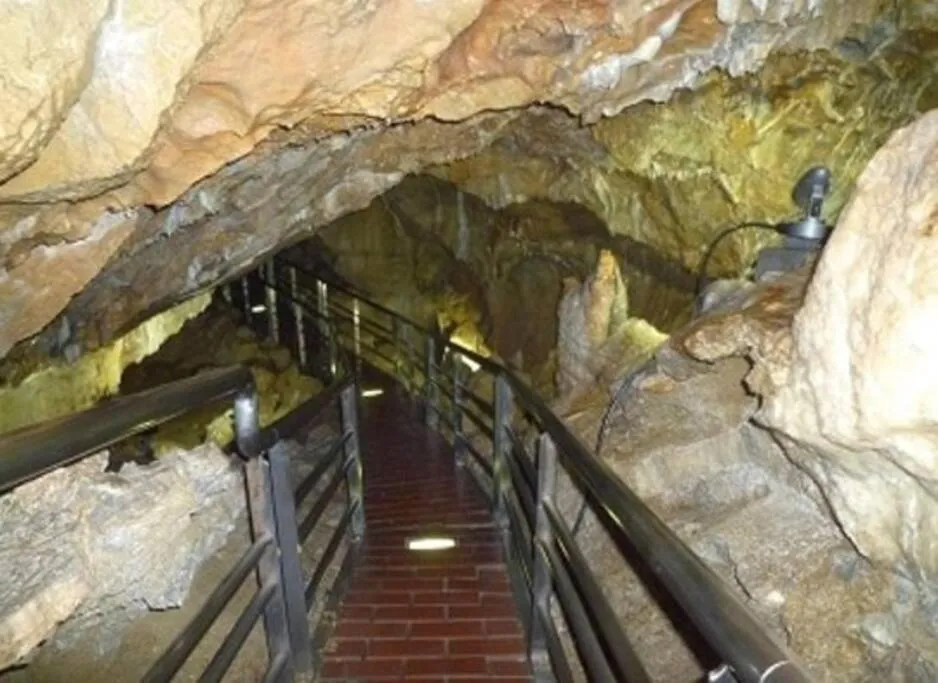 Nearby landmark in GUESTHOUSE CHIYOGAOKA