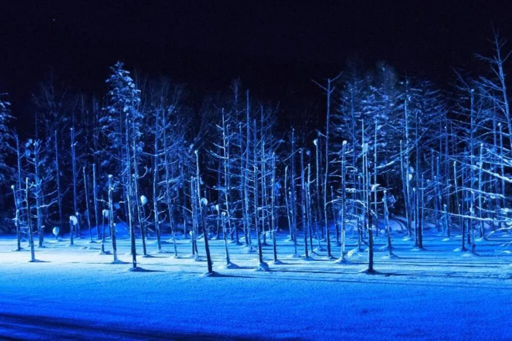 Nearby landmark in GUESTHOUSE CHIYOGAOKA