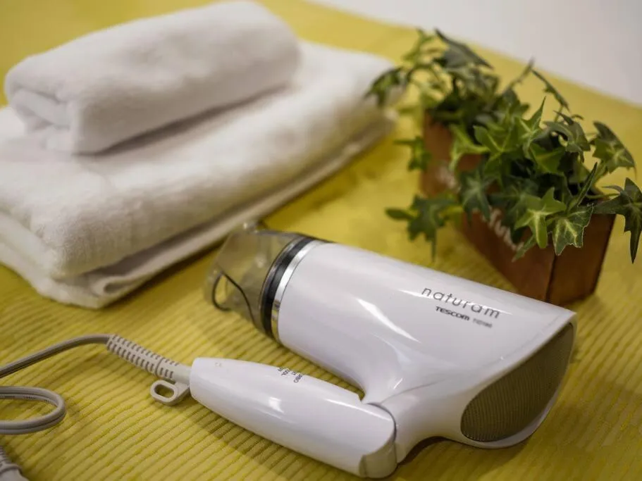 hair dryier in THE HARMONY