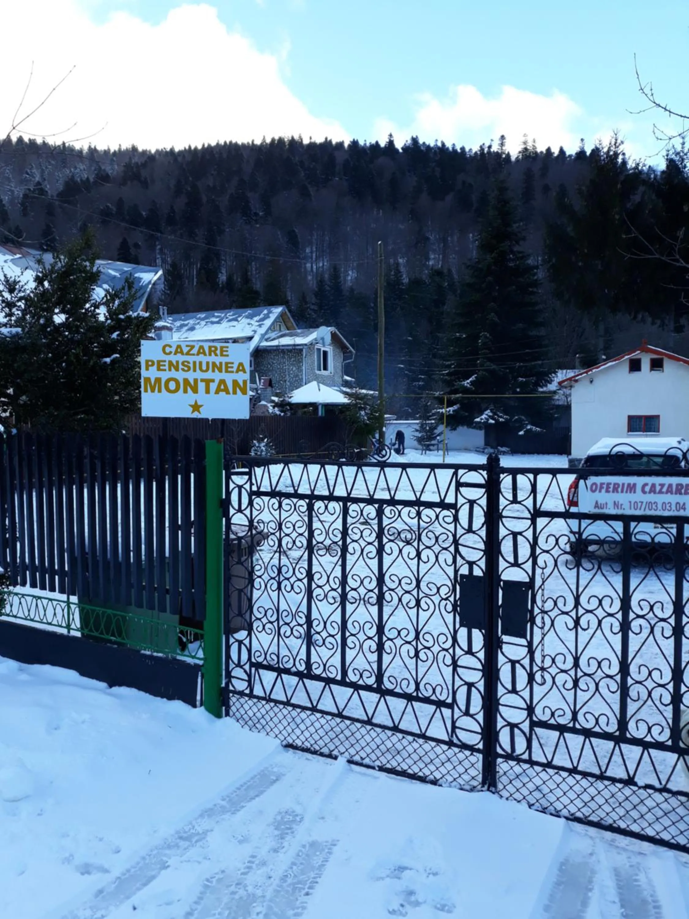 Pensiunea Montan Busteni