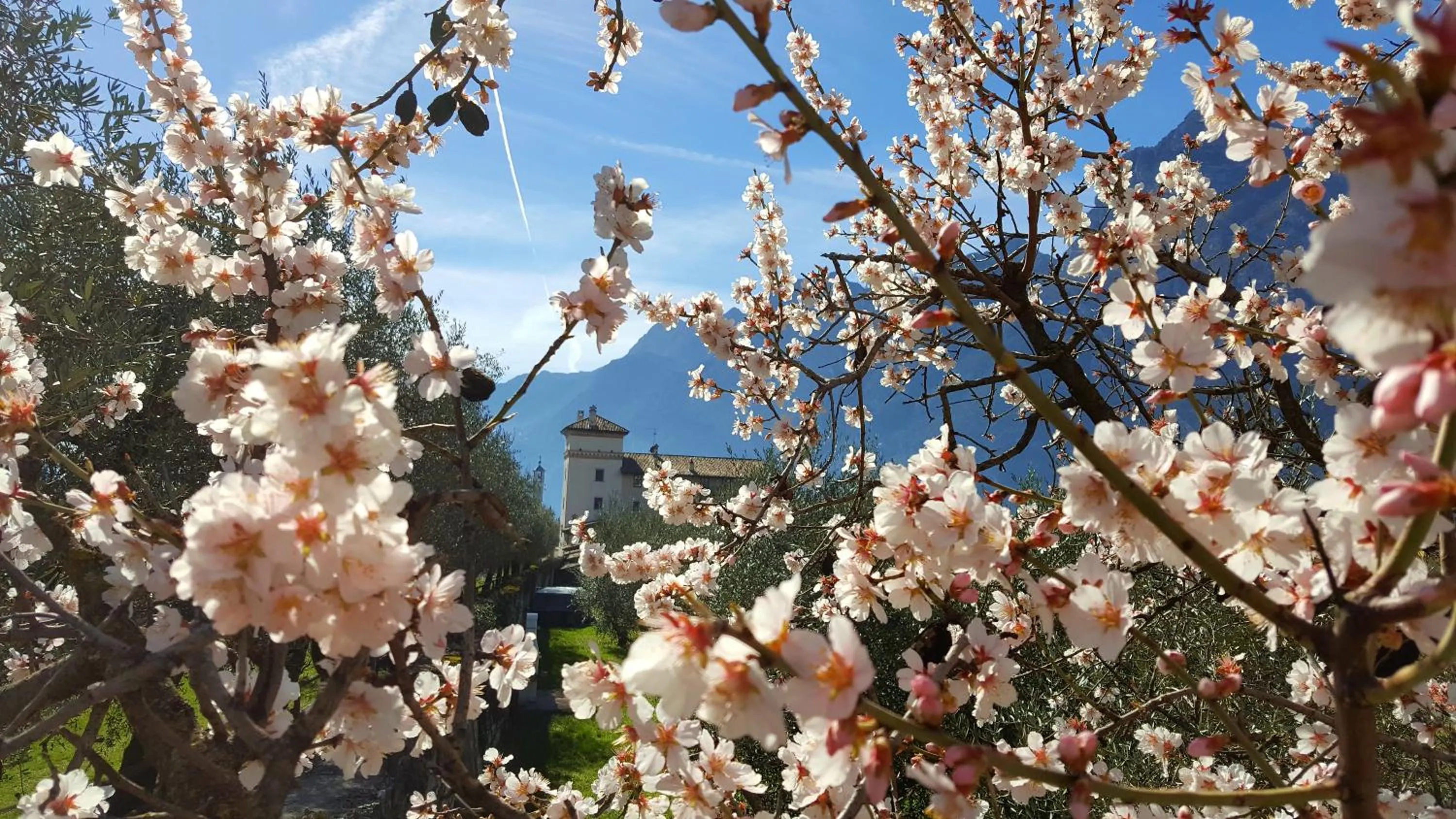 Natural landscape in Residence La Colombera
