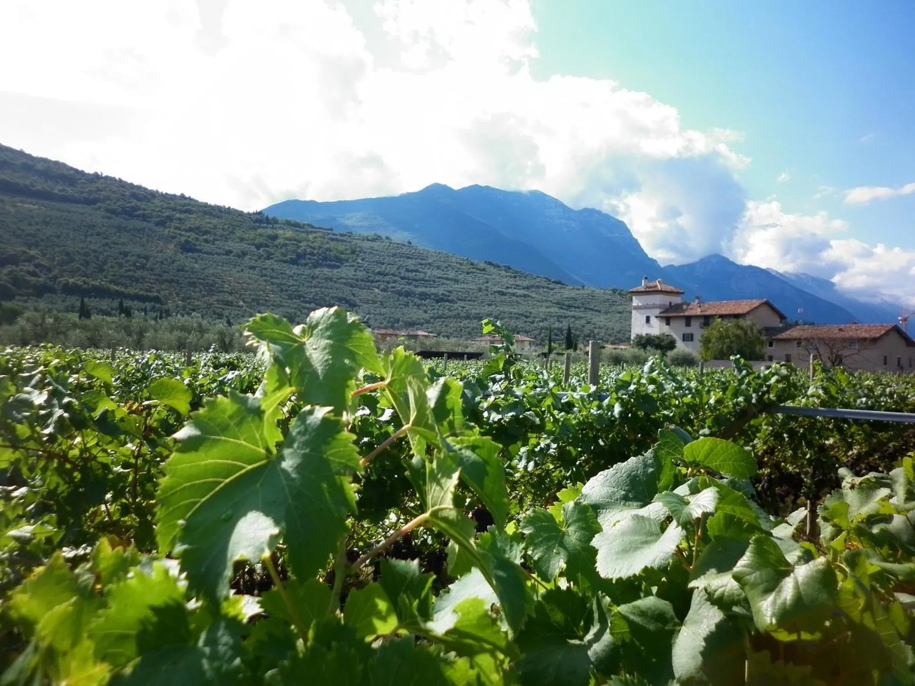 Bird's eye view in Residence La Colombera