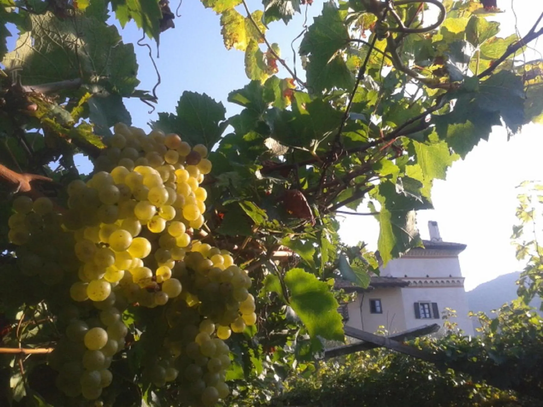 Natural landscape in Residence La Colombera