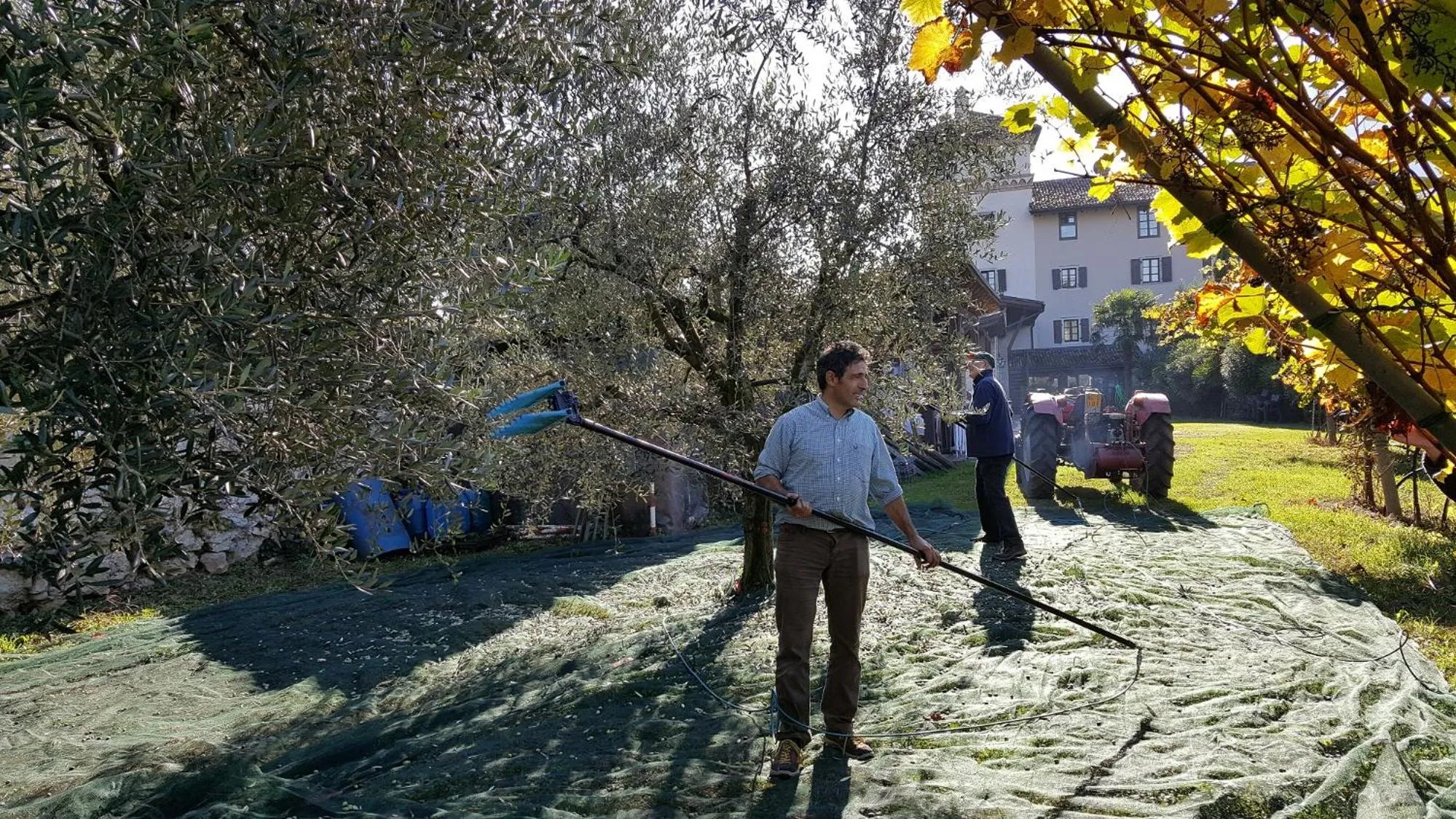 Natural landscape in Residence La Colombera
