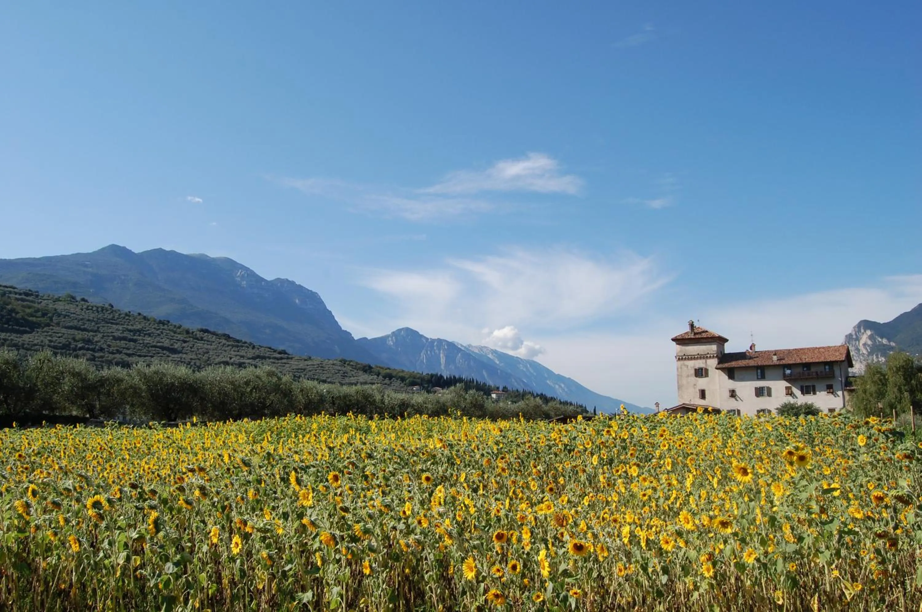 Summer in Residence La Colombera