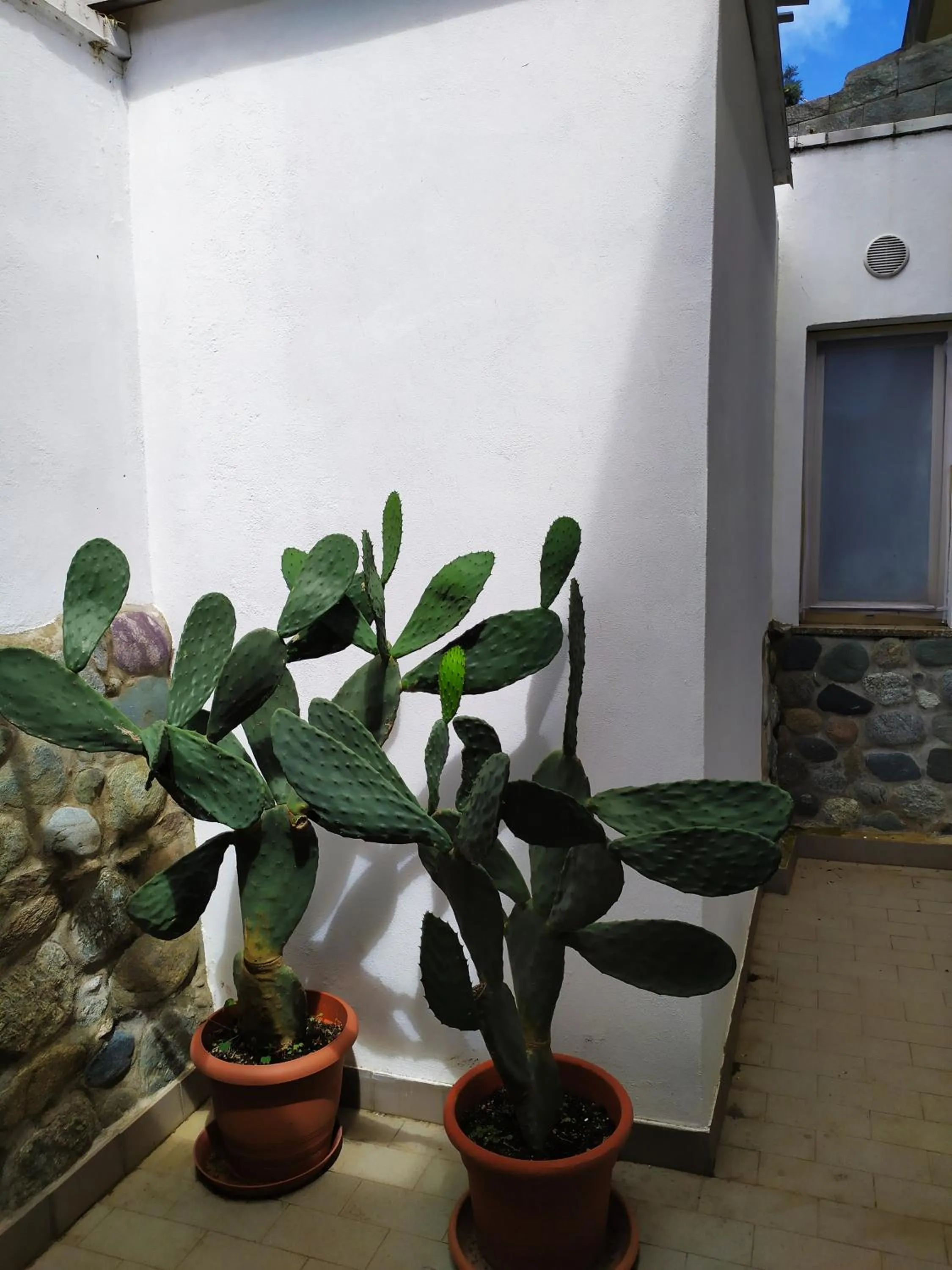 Facade/entrance in Hotel Torre