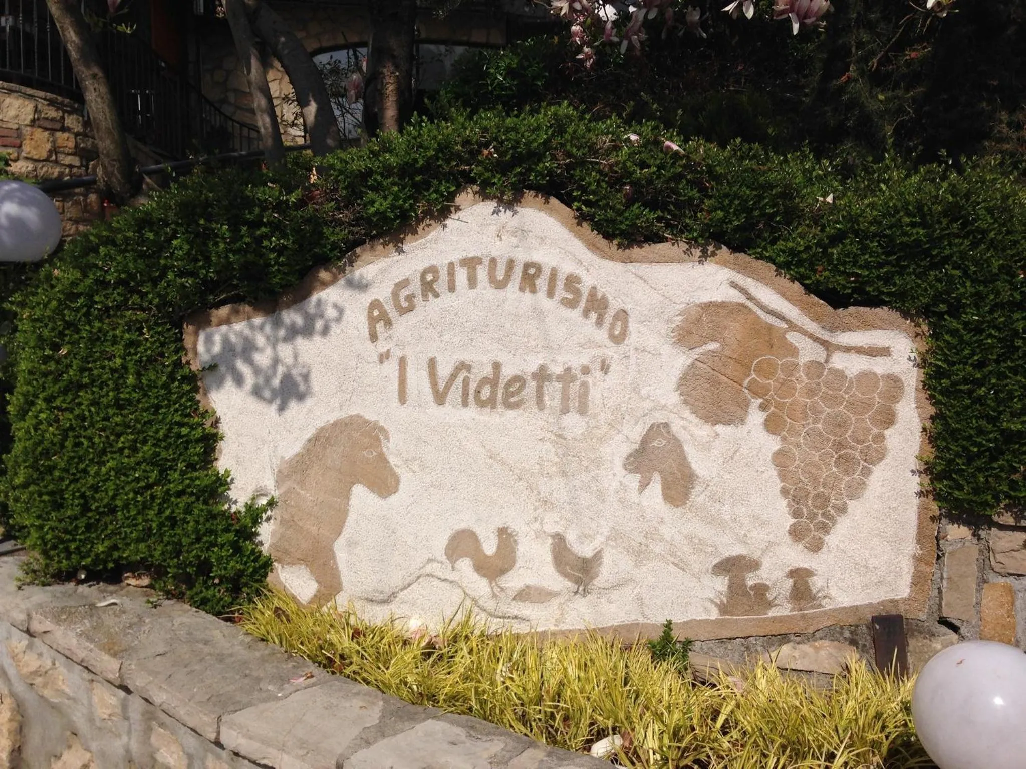 Property logo or sign in B&B Videtti