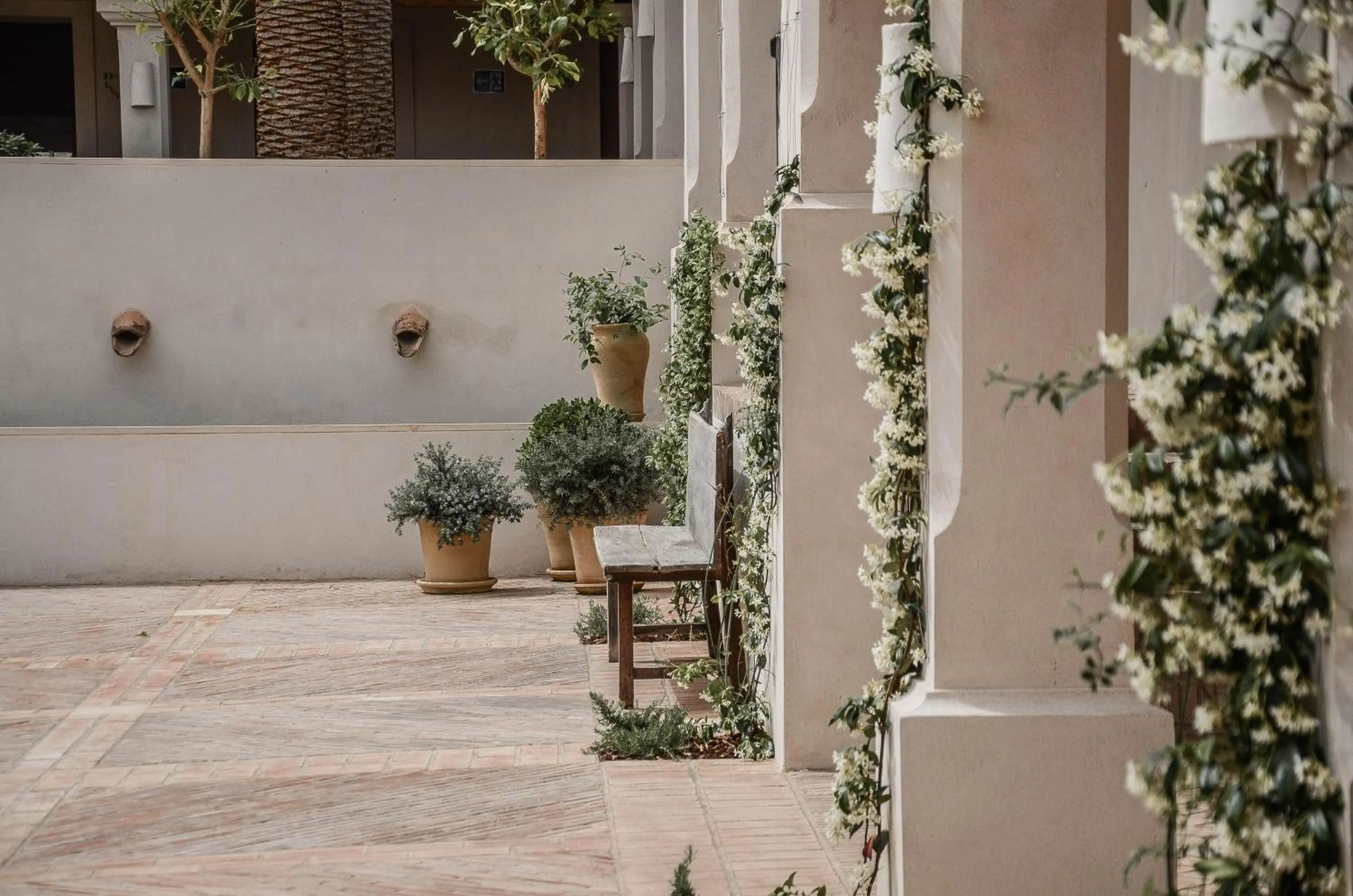 Patio in La Dehesa de Don Pedro