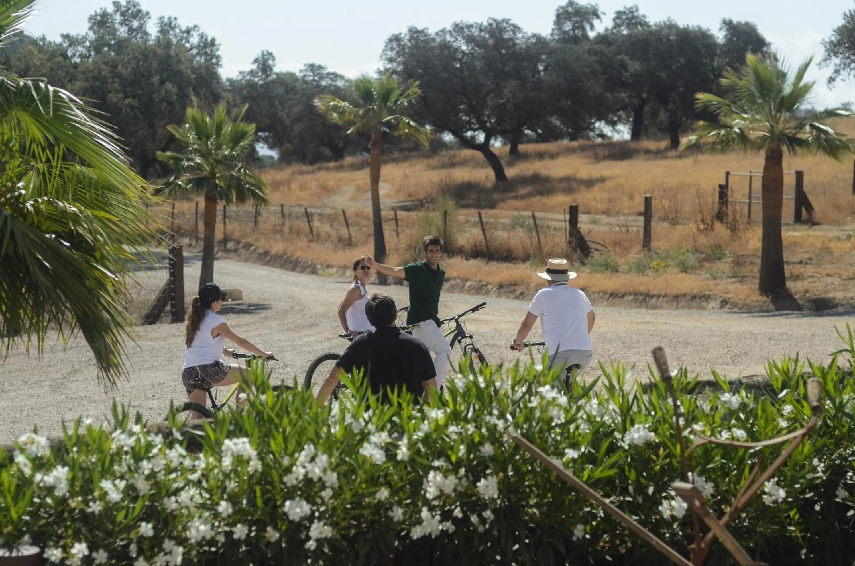 Activities in La Dehesa de Don Pedro