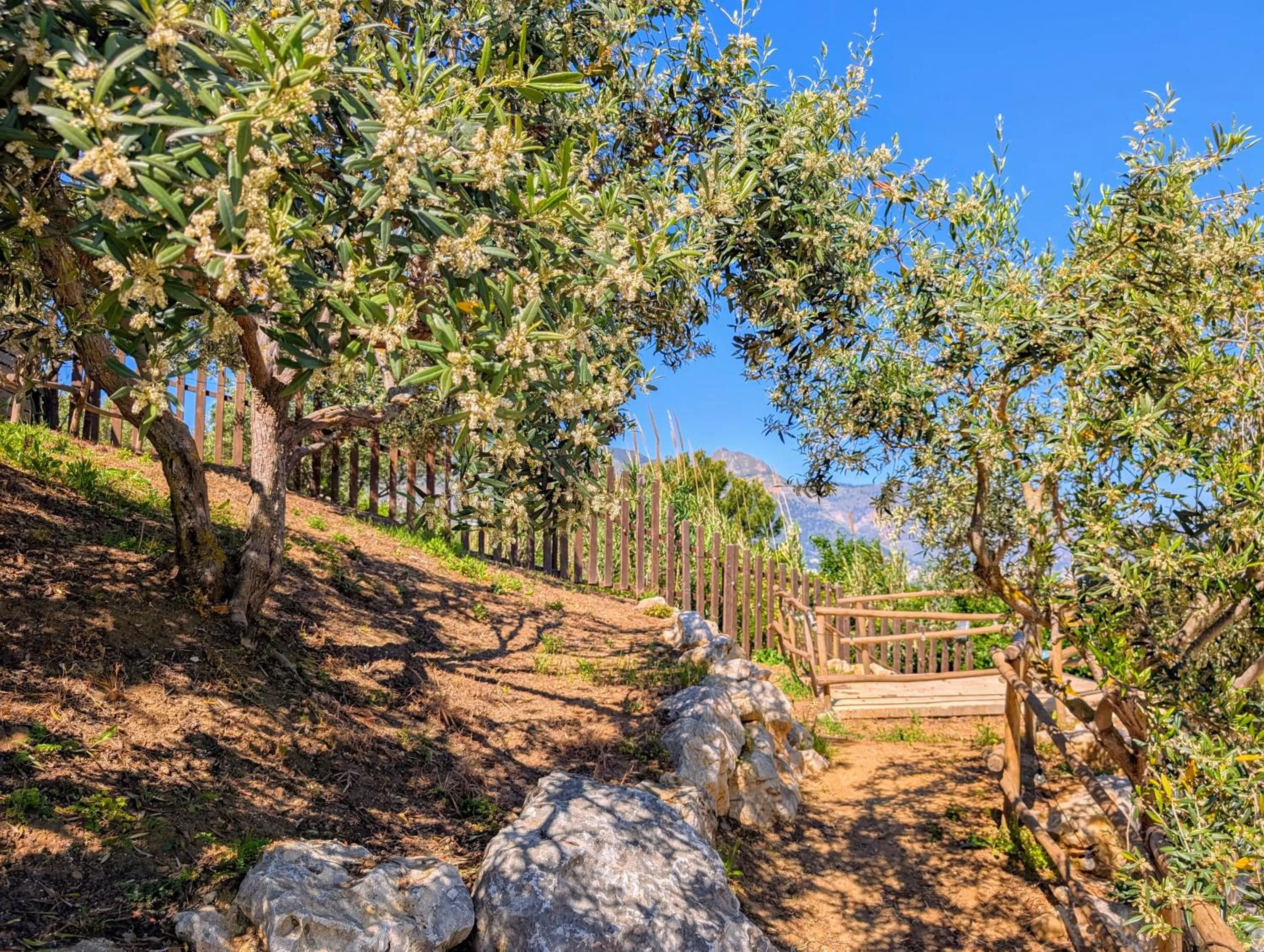 Spring in CI VULIA b&b - Sicilia sea, pool, bbq, tv, wi-fi