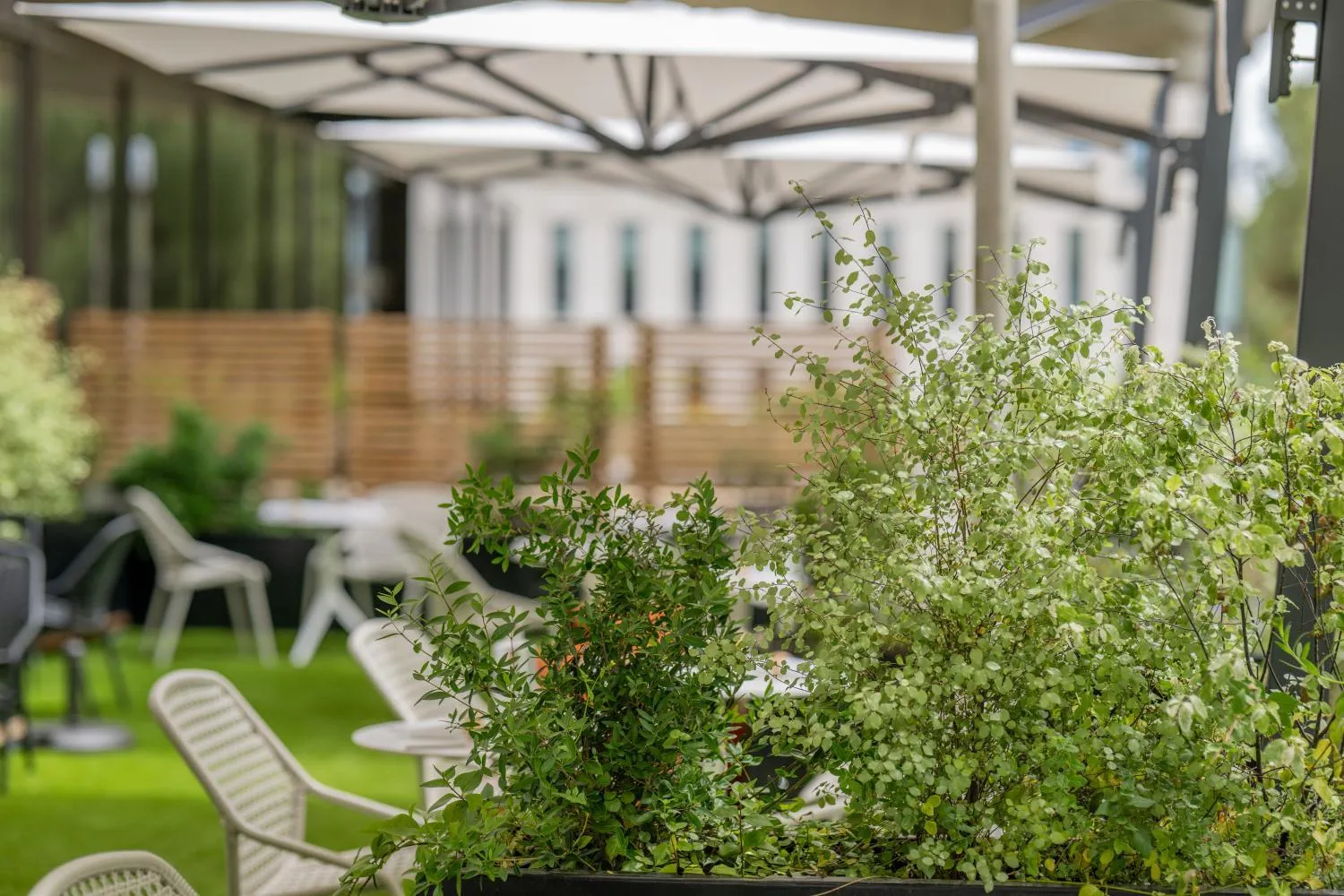 Restaurant/places to eat in FirstName Bordeaux, Part of JdV by Hyatt