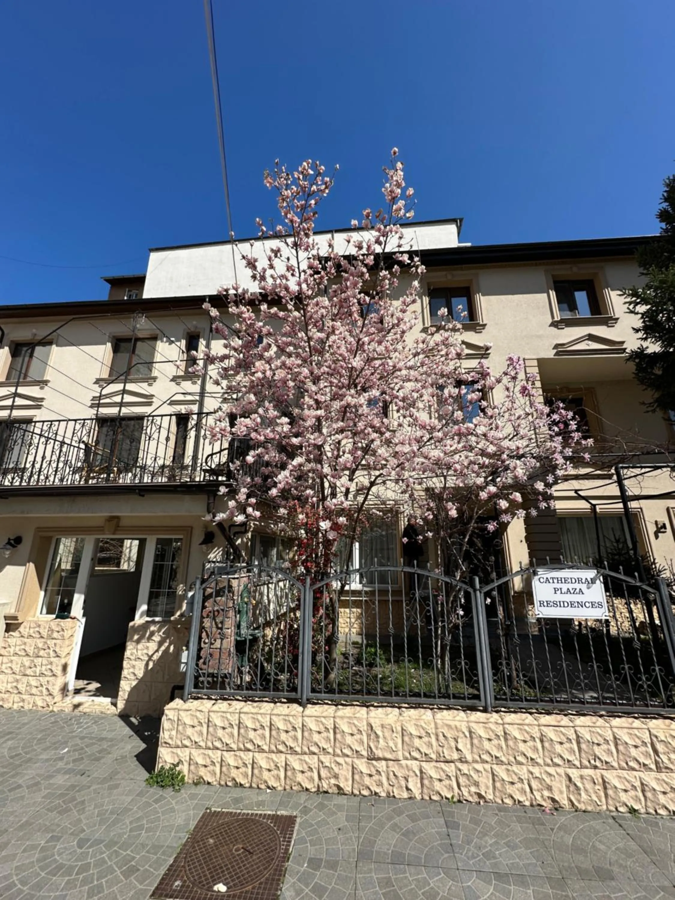 Hotel Boutique Cathedral Plaza Residences room for rent downtown