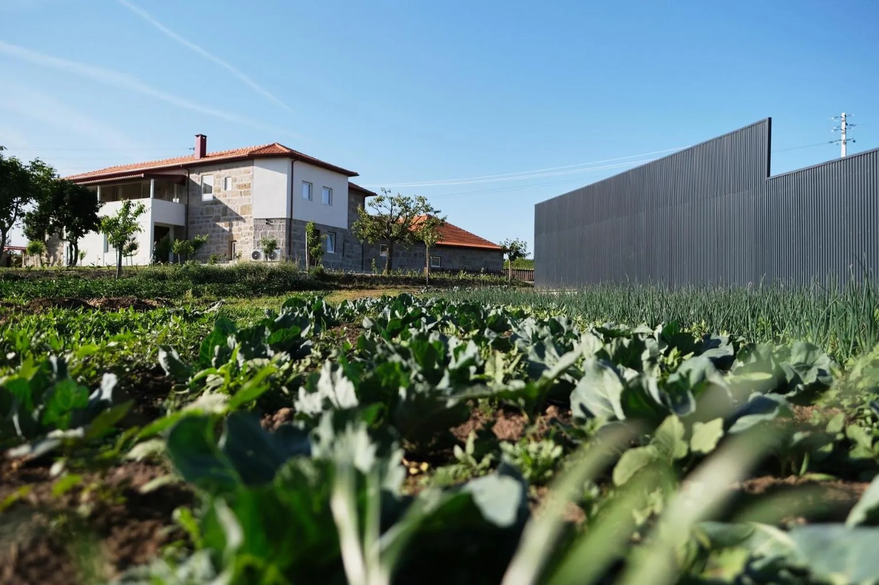 View (from property/room) in Aldeia da Quinta do Paço - Turismo rural Santo Tirso
