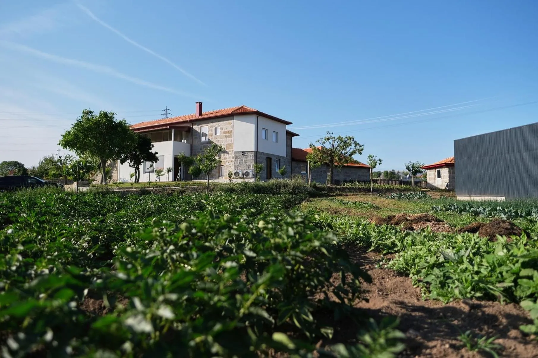 Property building in Aldeia da Quinta do Paço - Turismo rural Santo Tirso