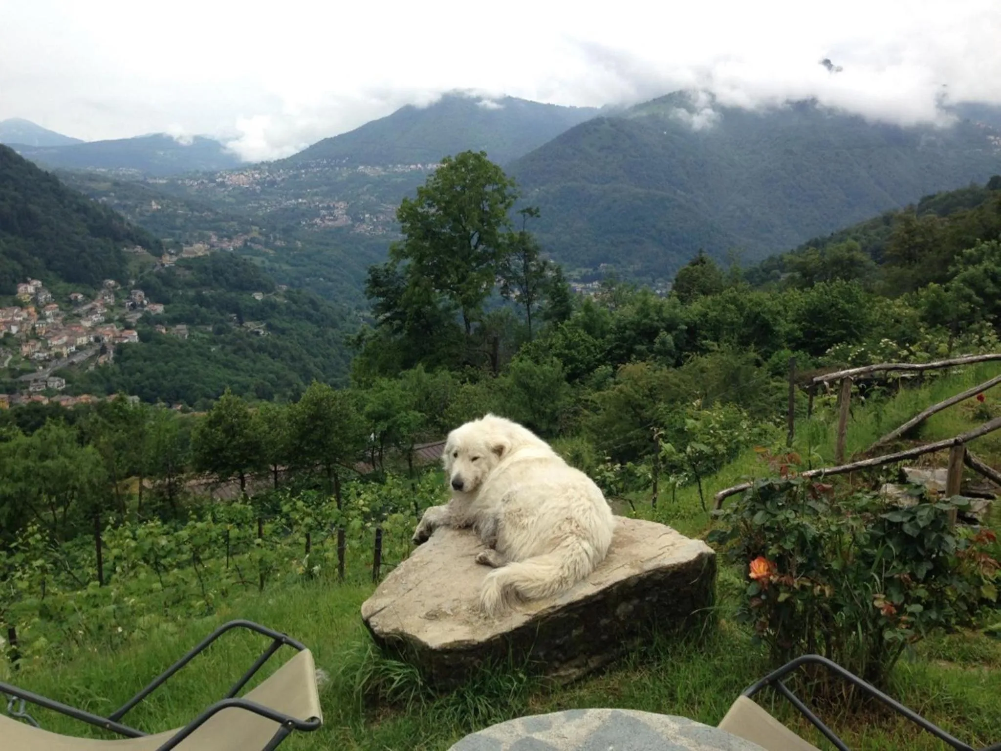 Spring in Agriturismo Al Marnich