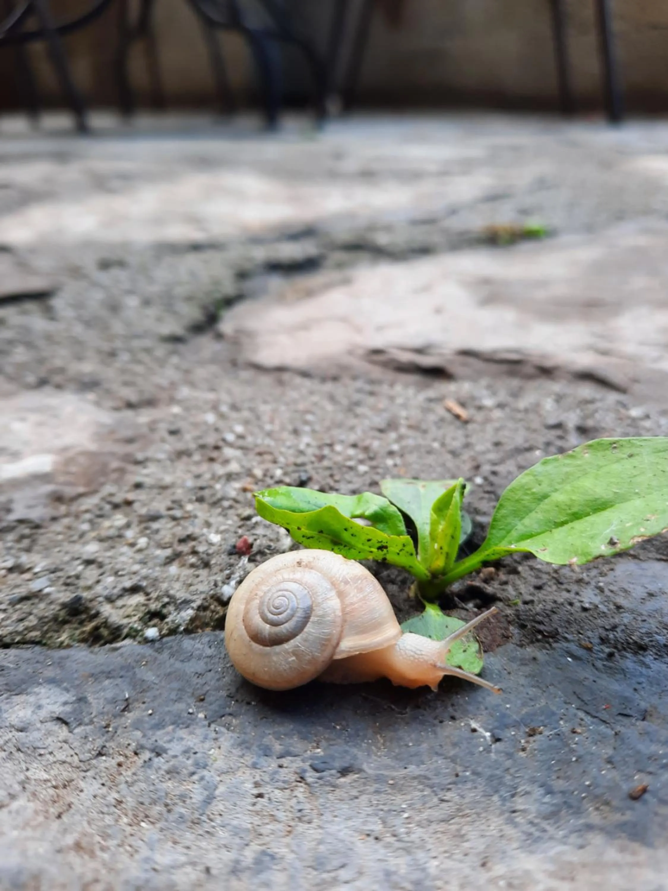 Agriturismo Al Marnich