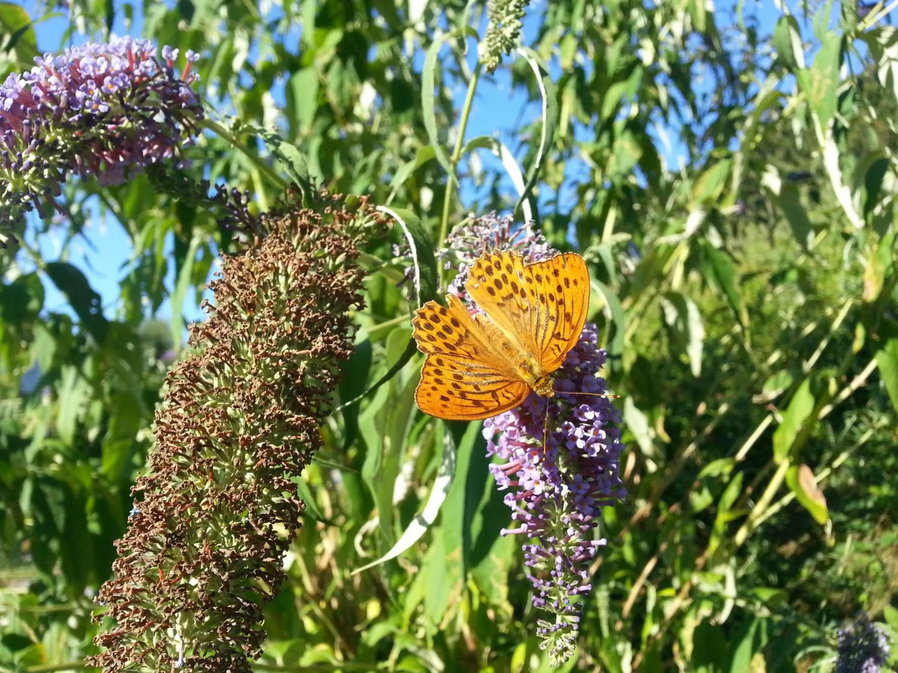 Day in Agriturismo Al Marnich