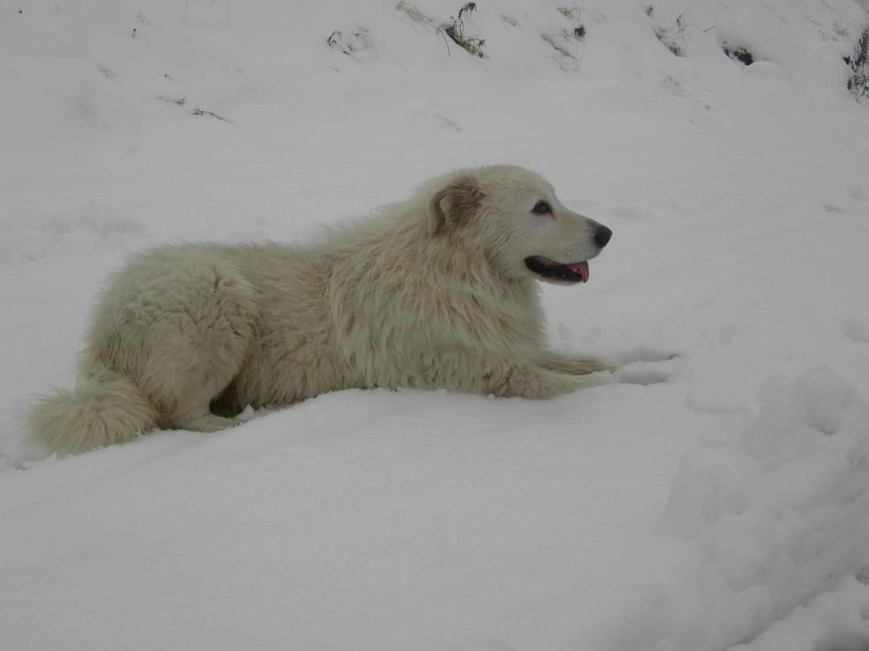 Garden in Agriturismo Al Marnich