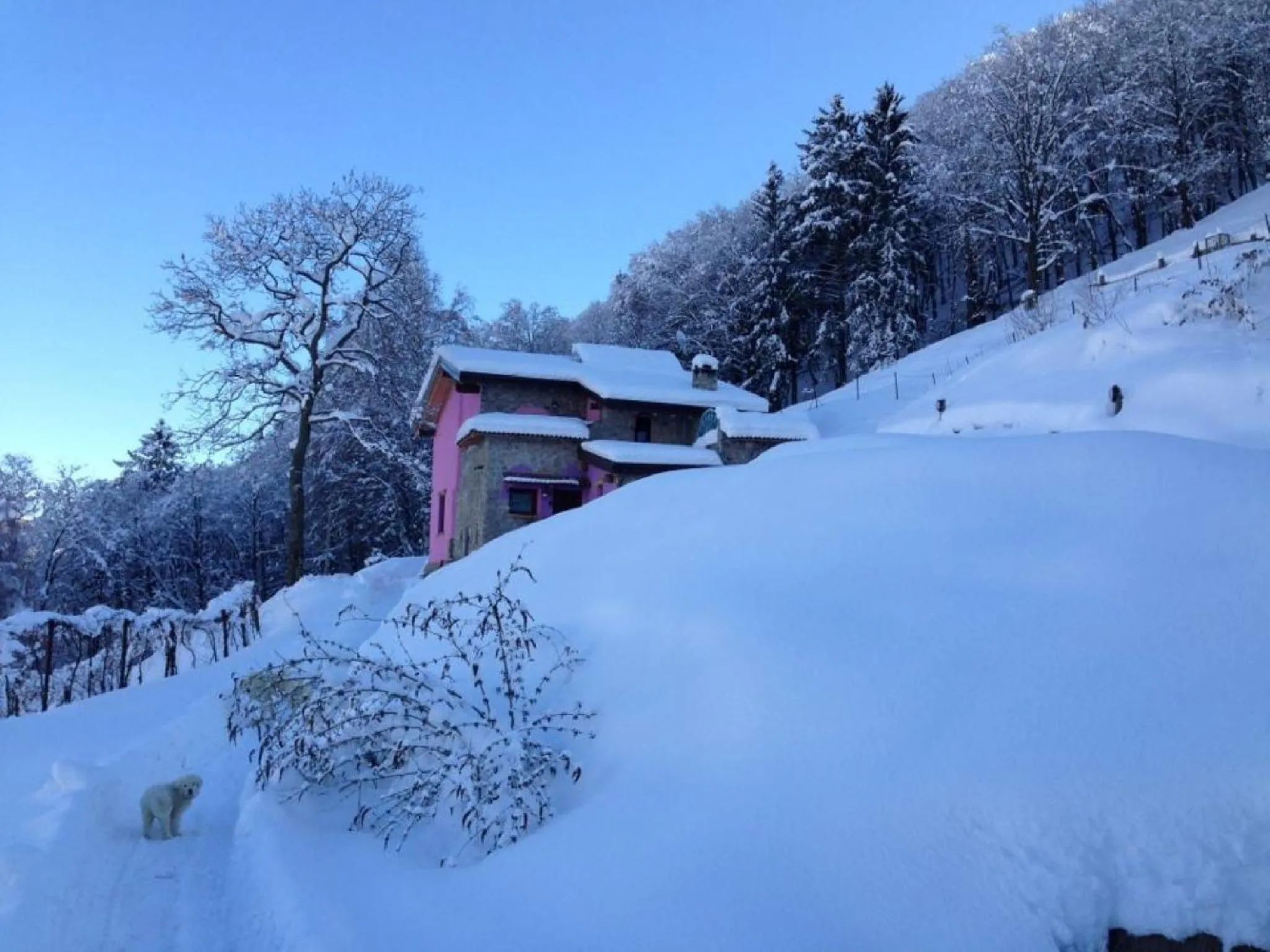 Property building in Agriturismo Al Marnich