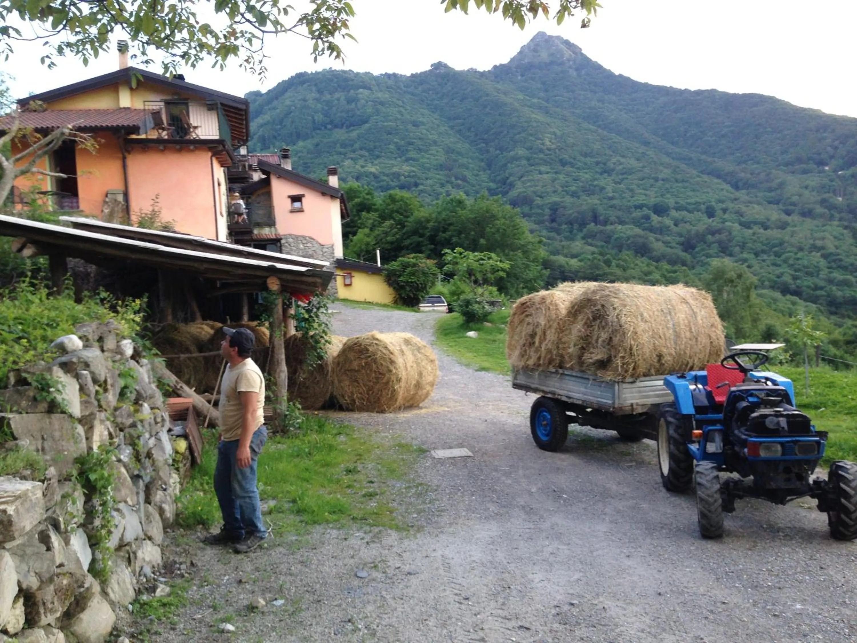 Facade/entrance in Agriturismo Al Marnich