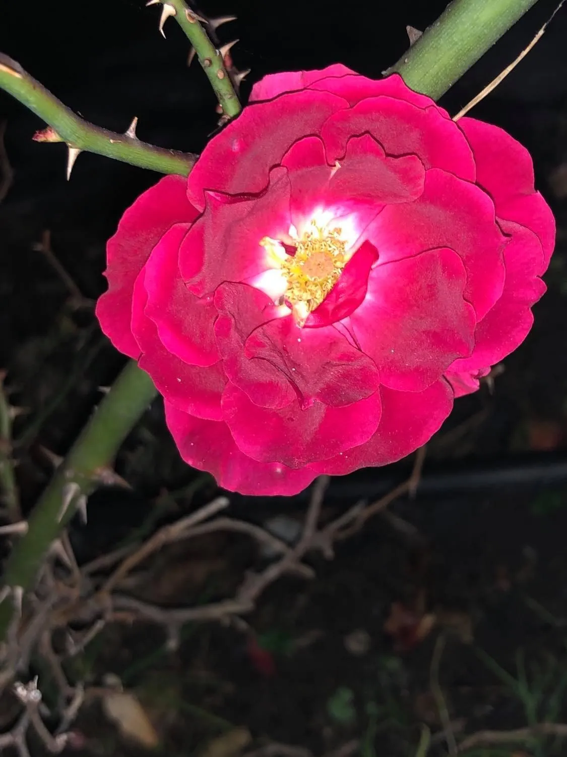 Agriturismo Al Marnich