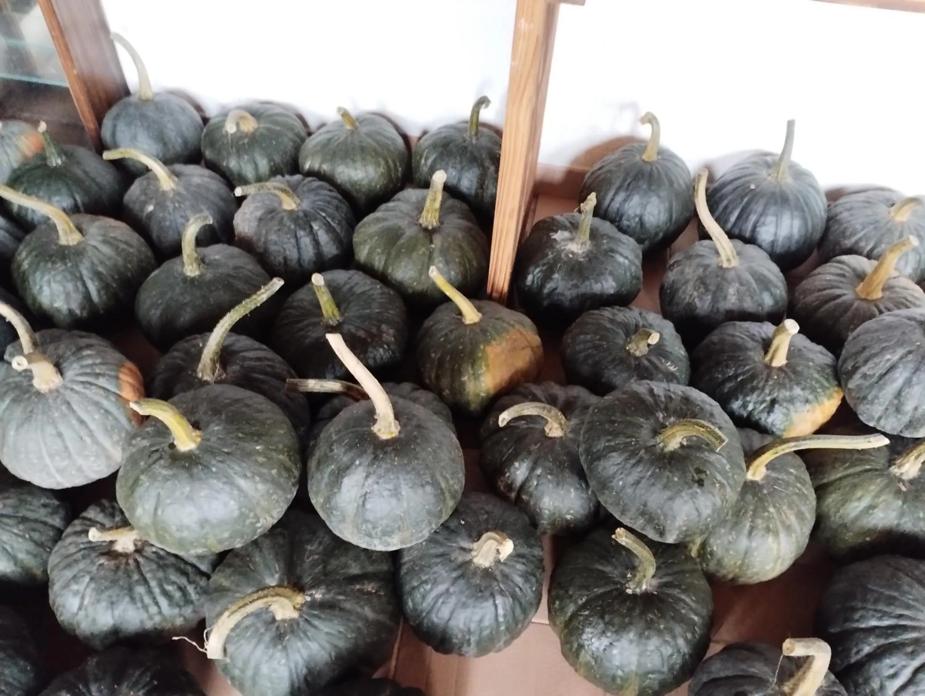 Agriturismo Al Marnich