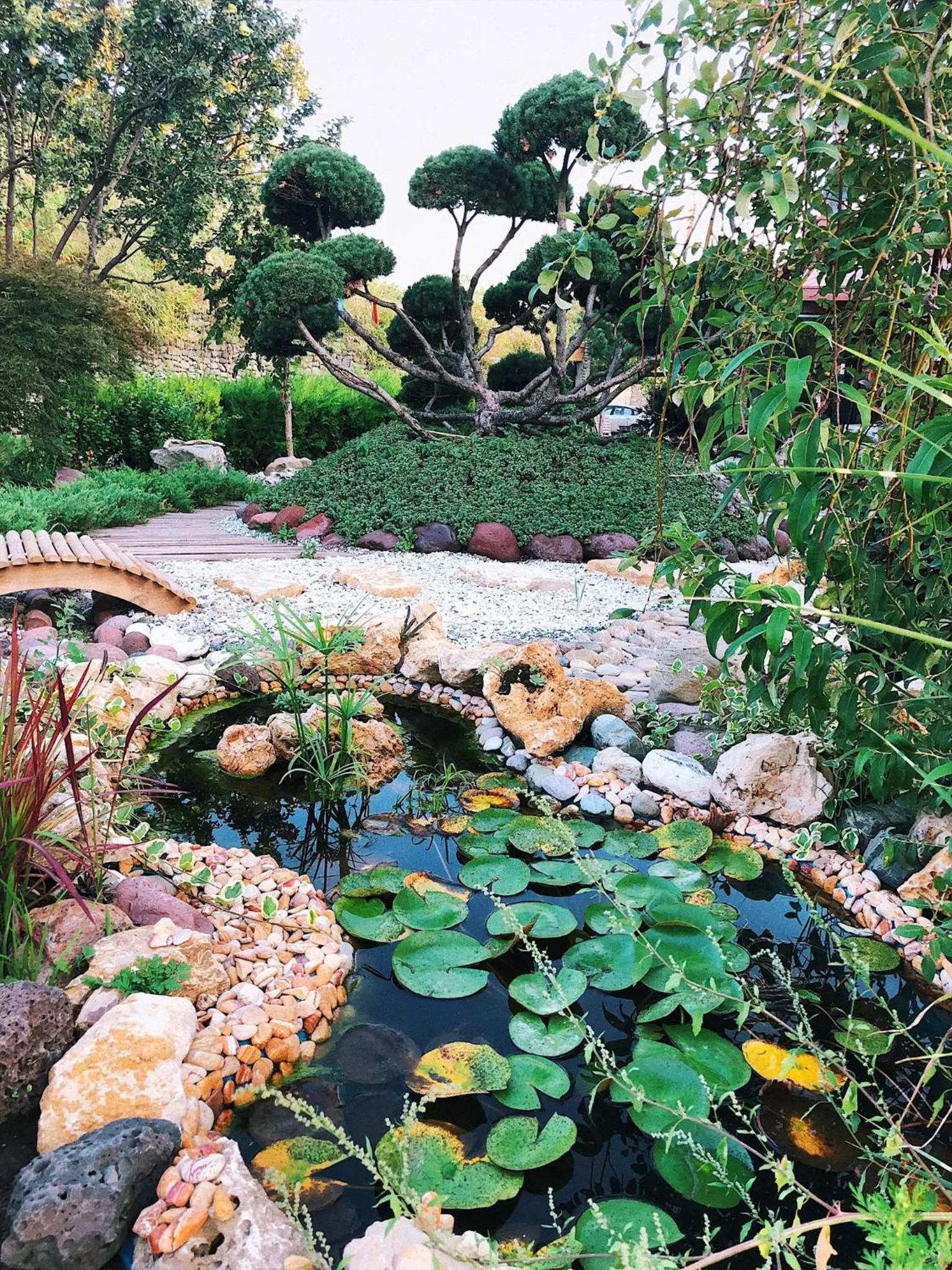 Garden in Giuaani Winery