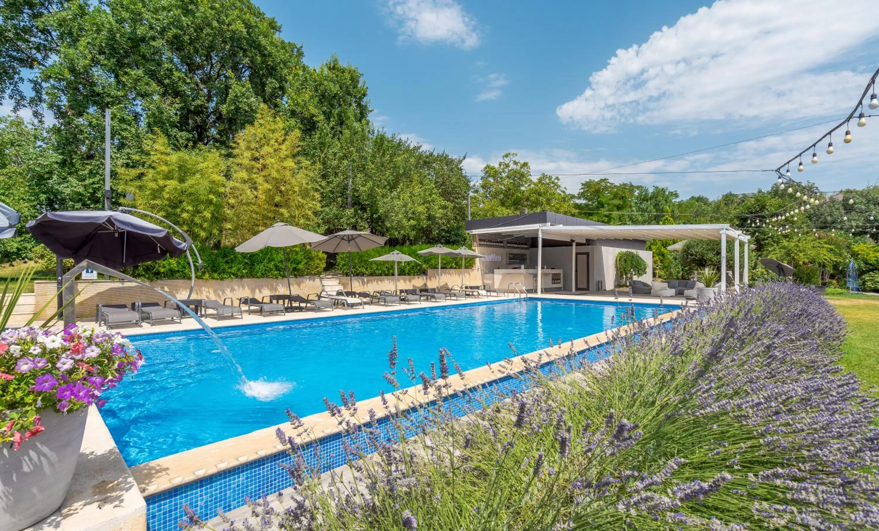 Swimming pool in Giuaani Winery