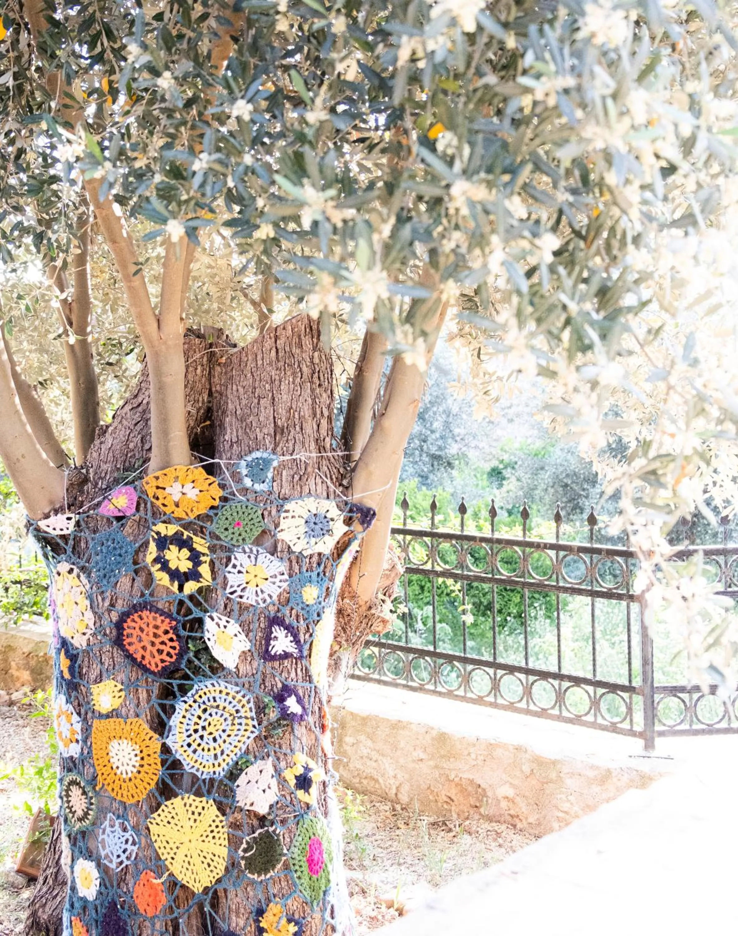 Garden in Casa Di Pietra