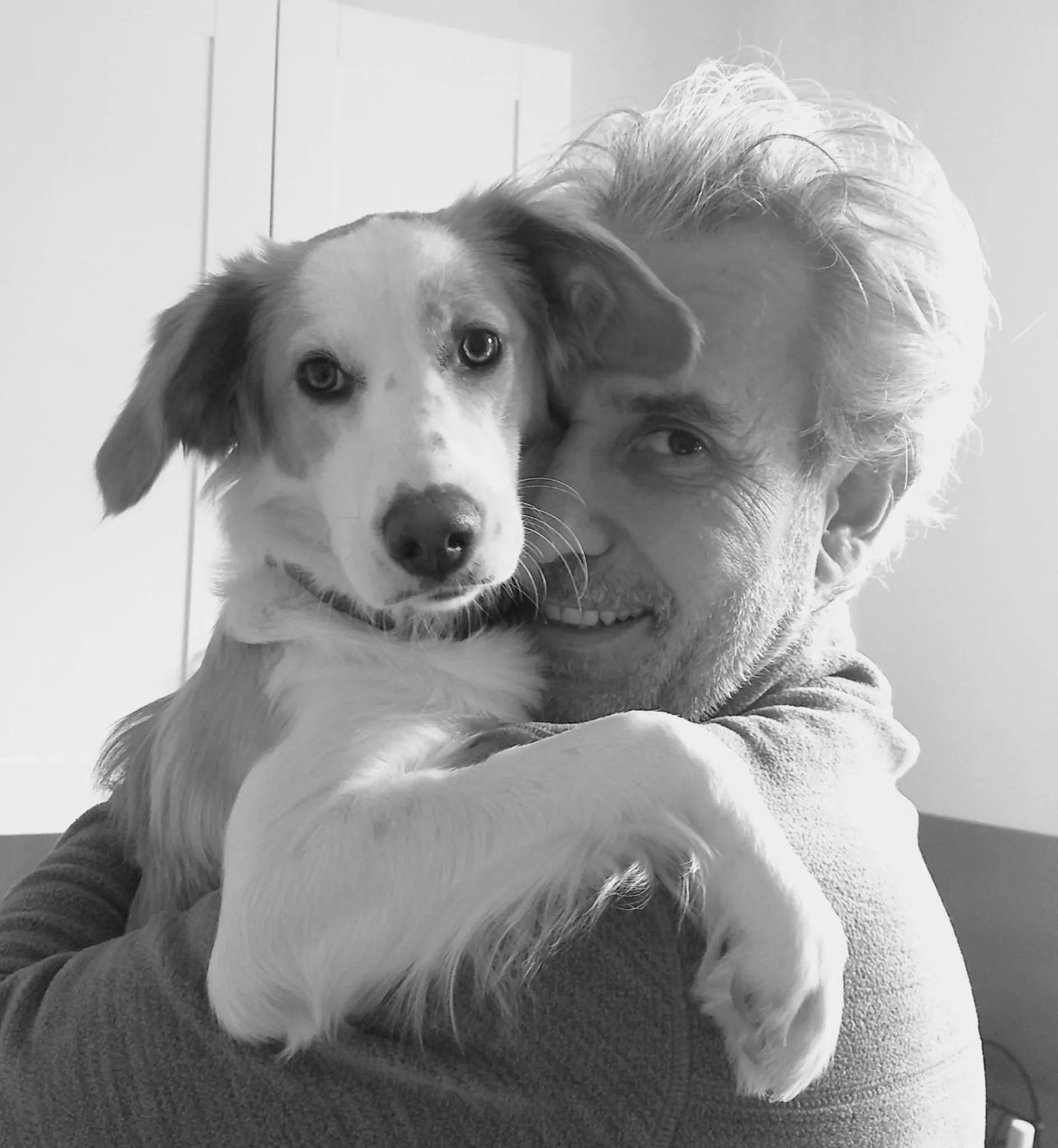 Pets in Il était une fois