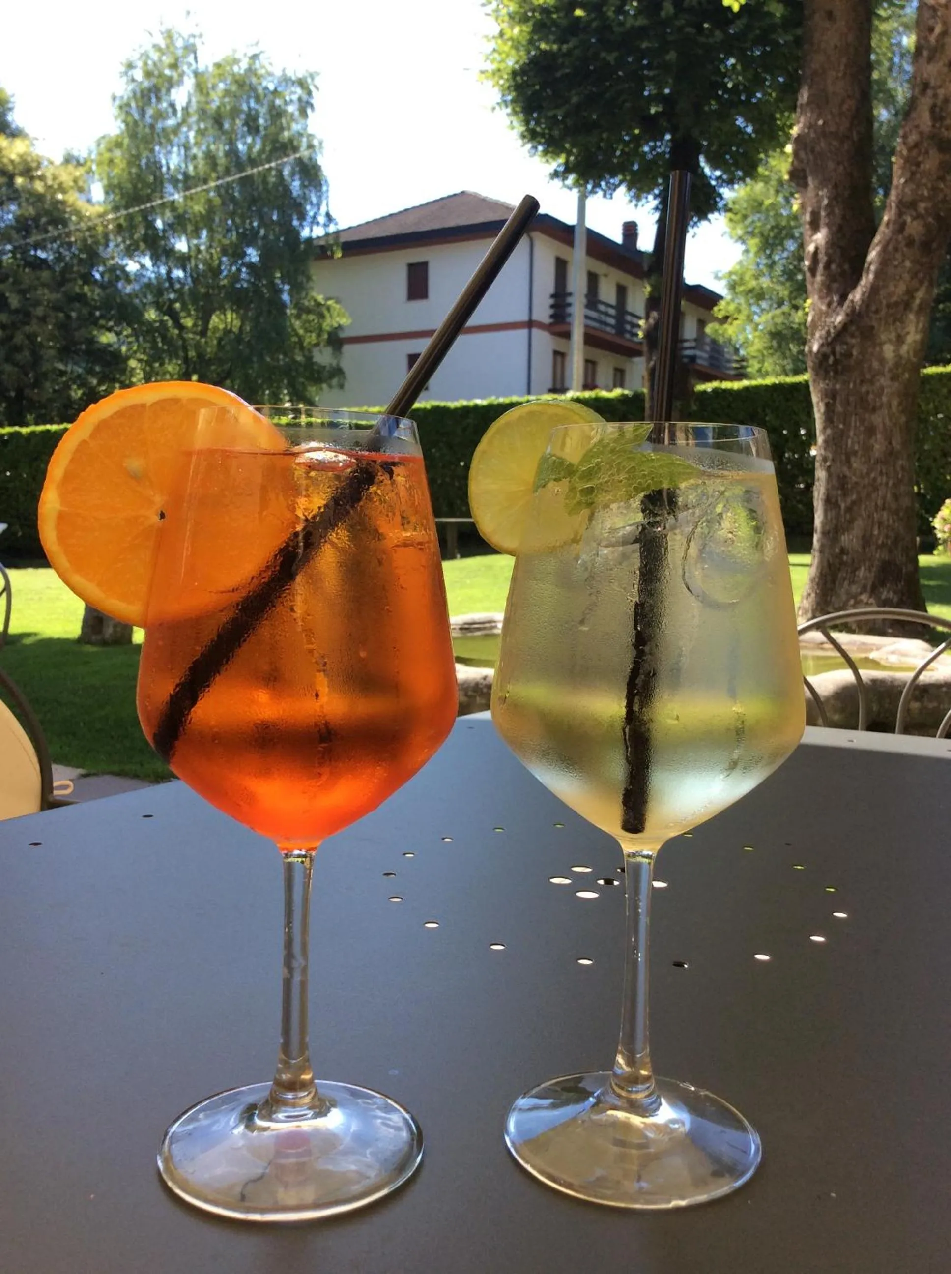 Garden in Hotel La Torre